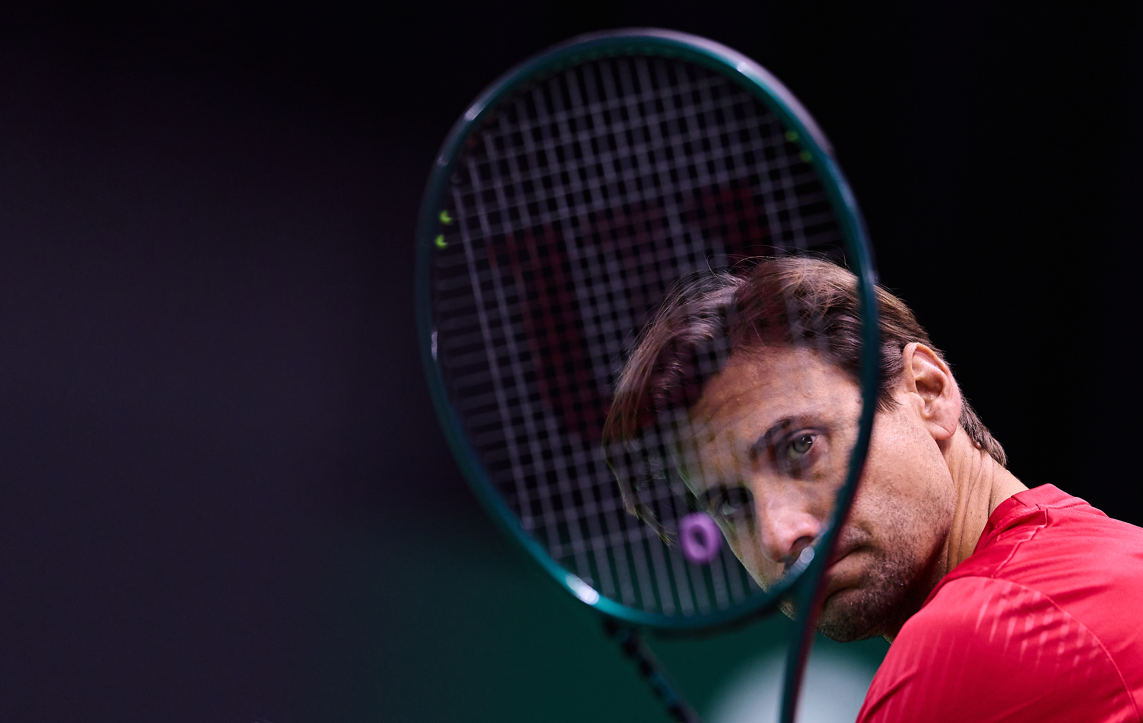 David Ferrer (ESP)