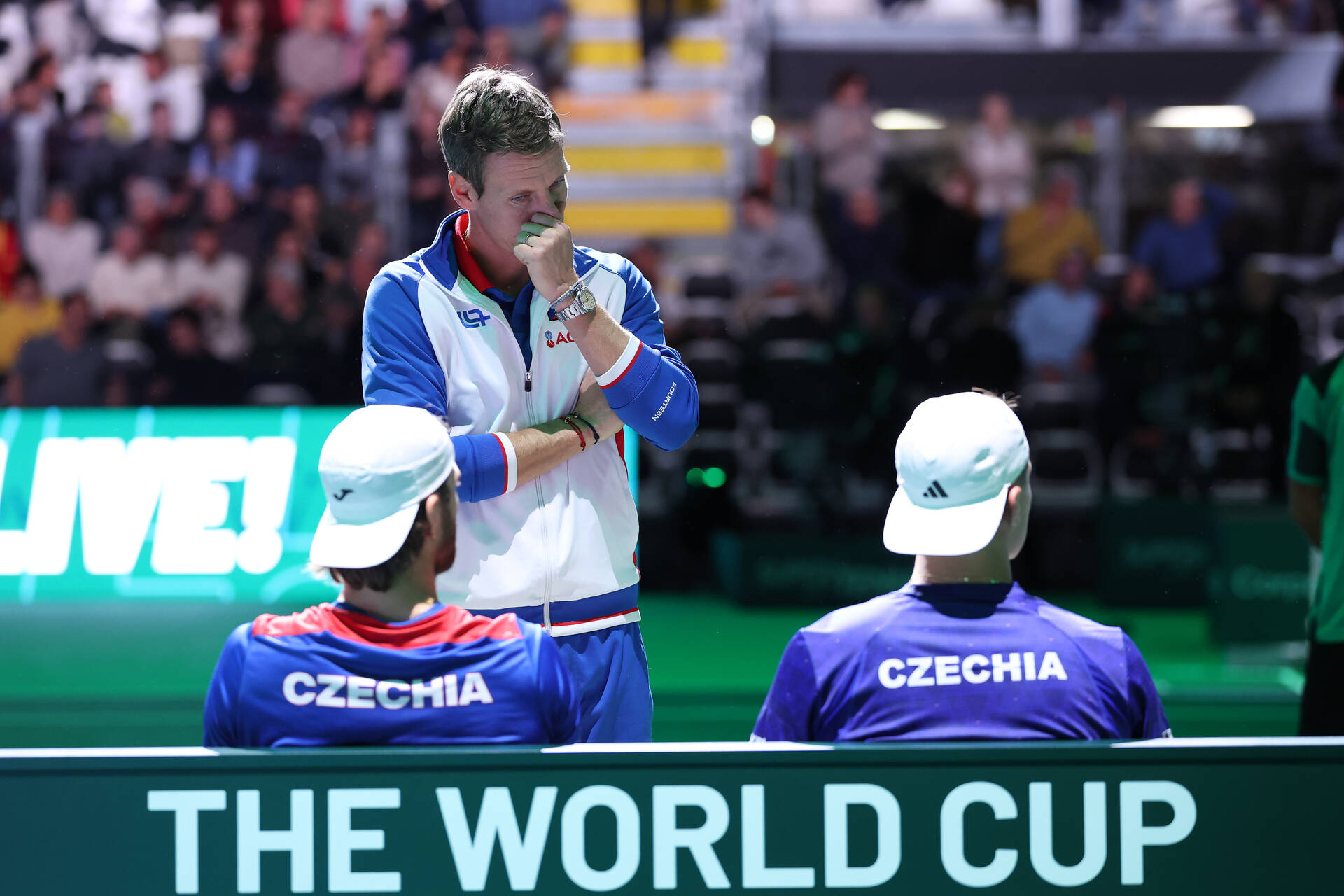 Czechia quotes article - Berdych