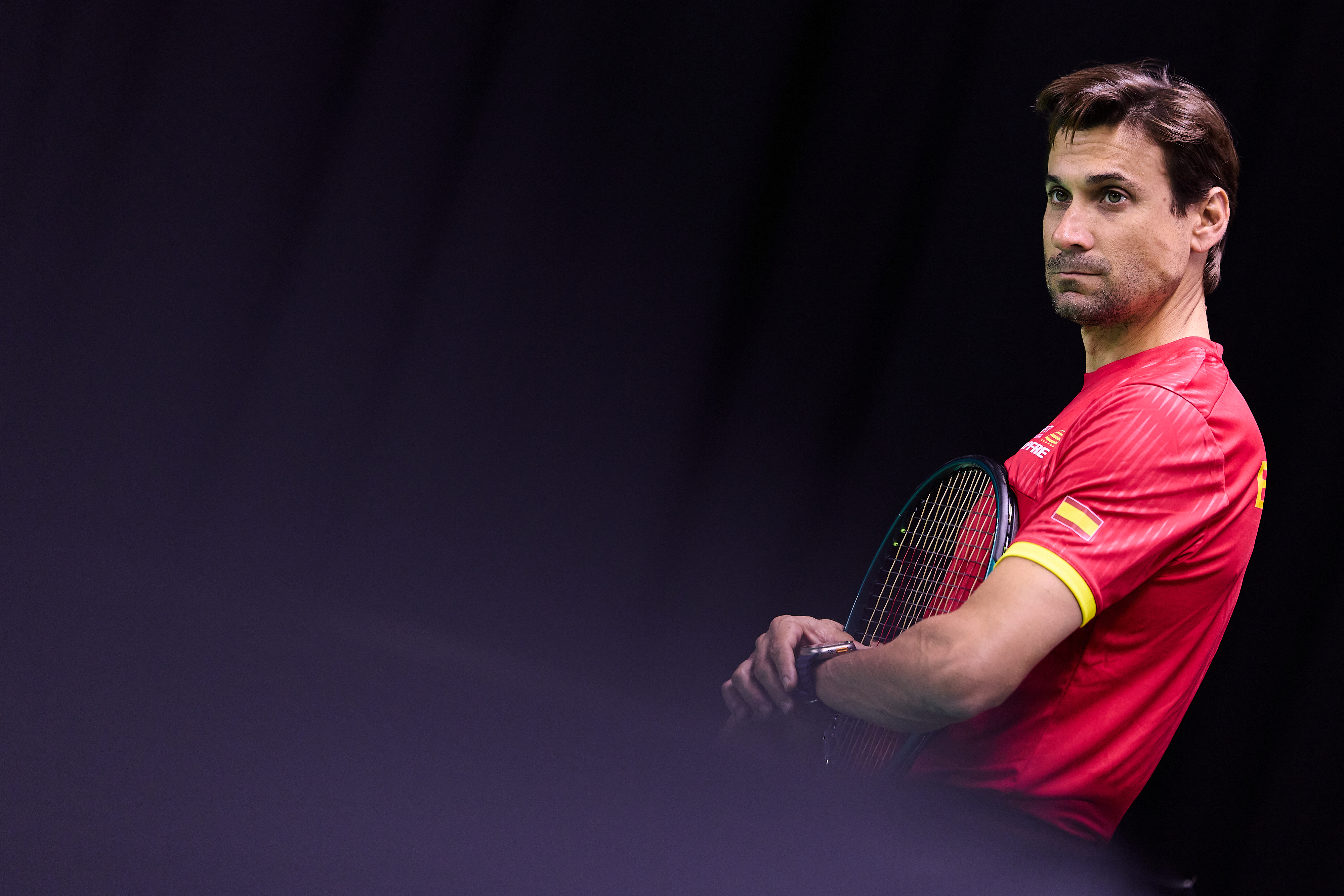 David Ferrer (ESP)