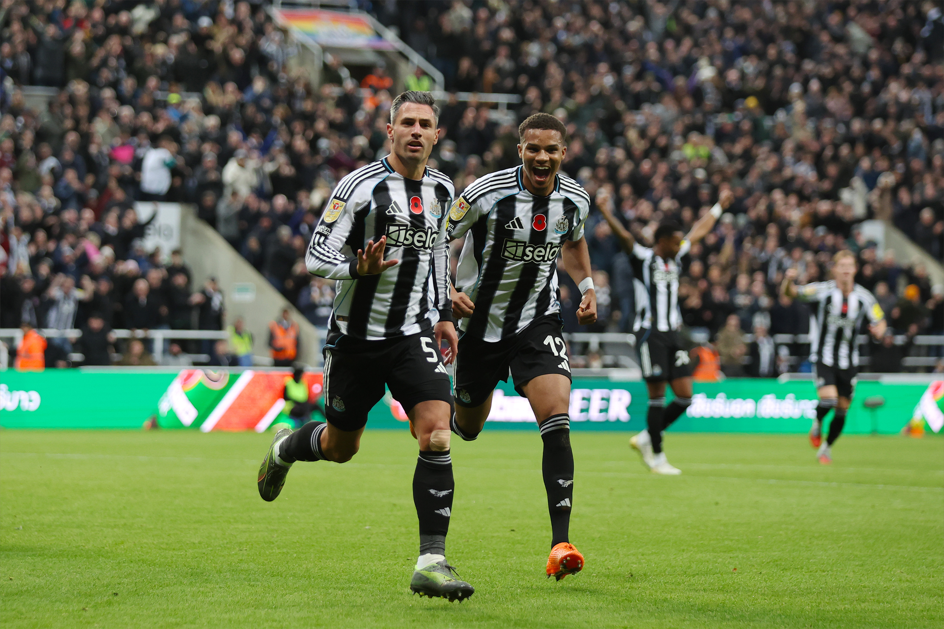 Tottenham Hotspur CC reaction article (image)