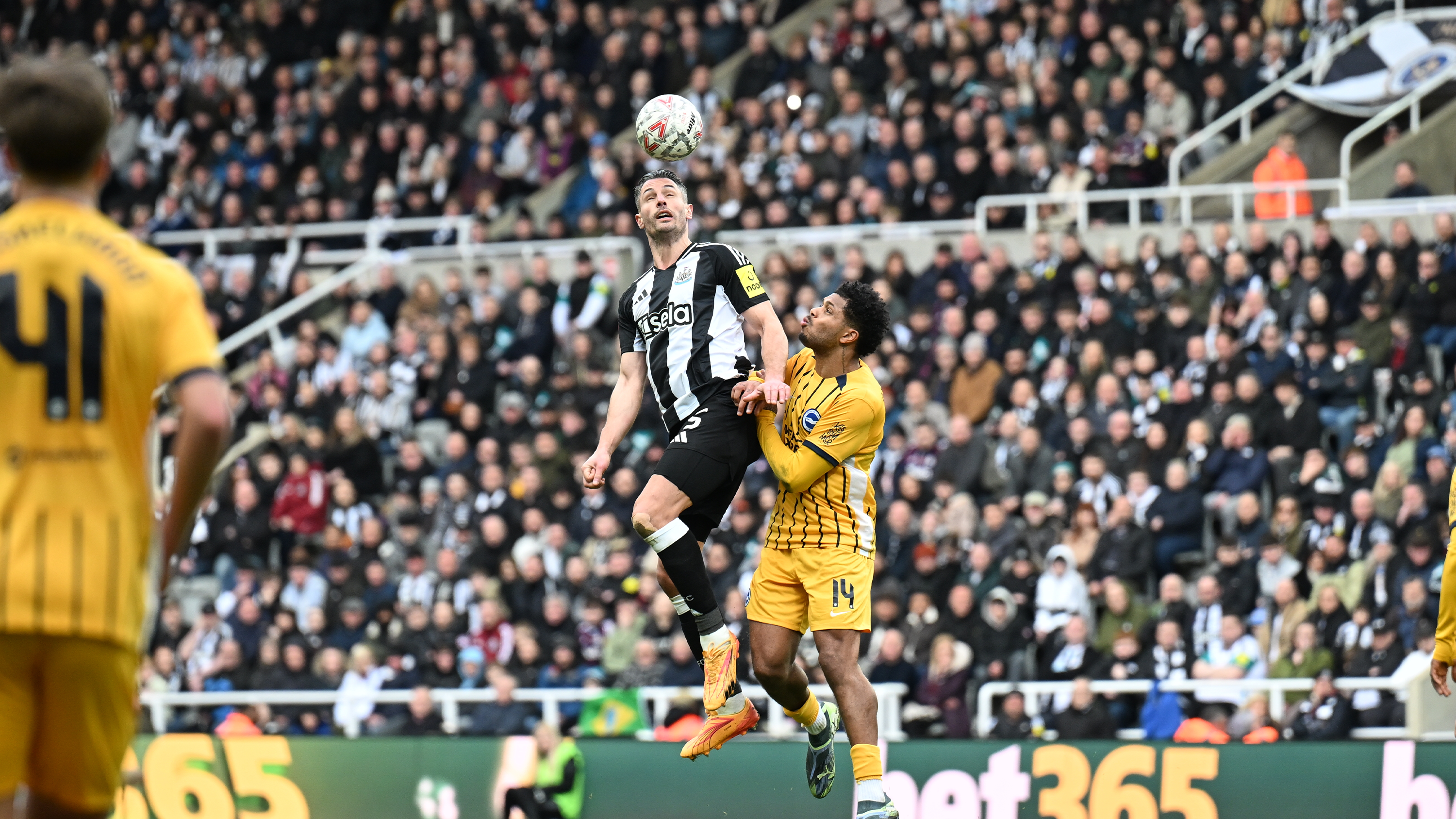Newcastle United v Brighton image (3)