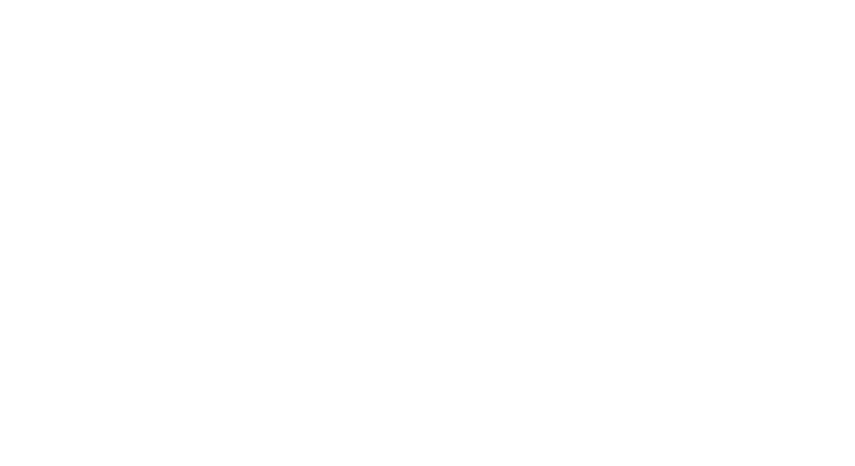 Premier League logo of Lion with Premier League text - all in white for dark backgrounds.