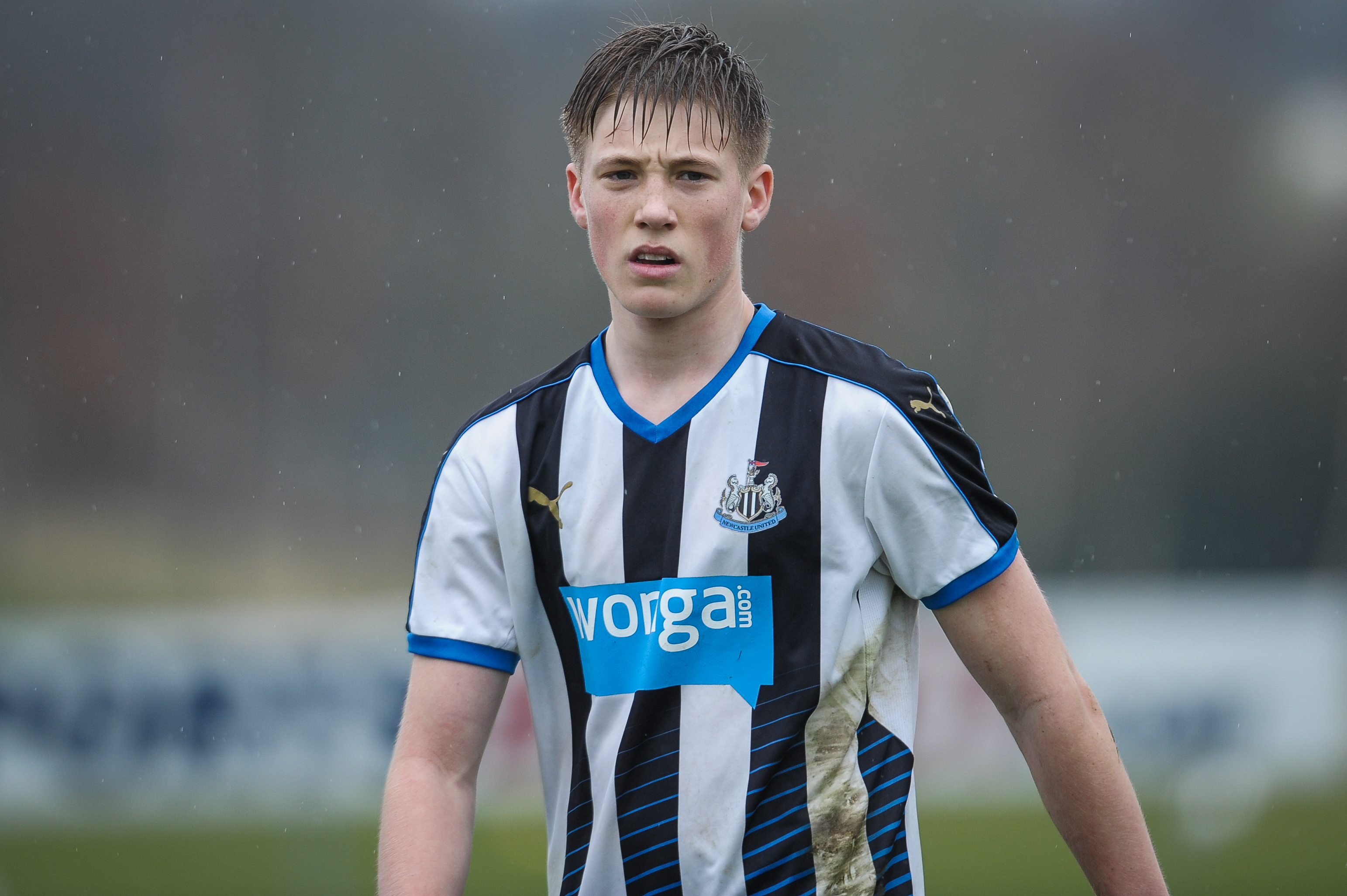 20161020-lewis-gibson