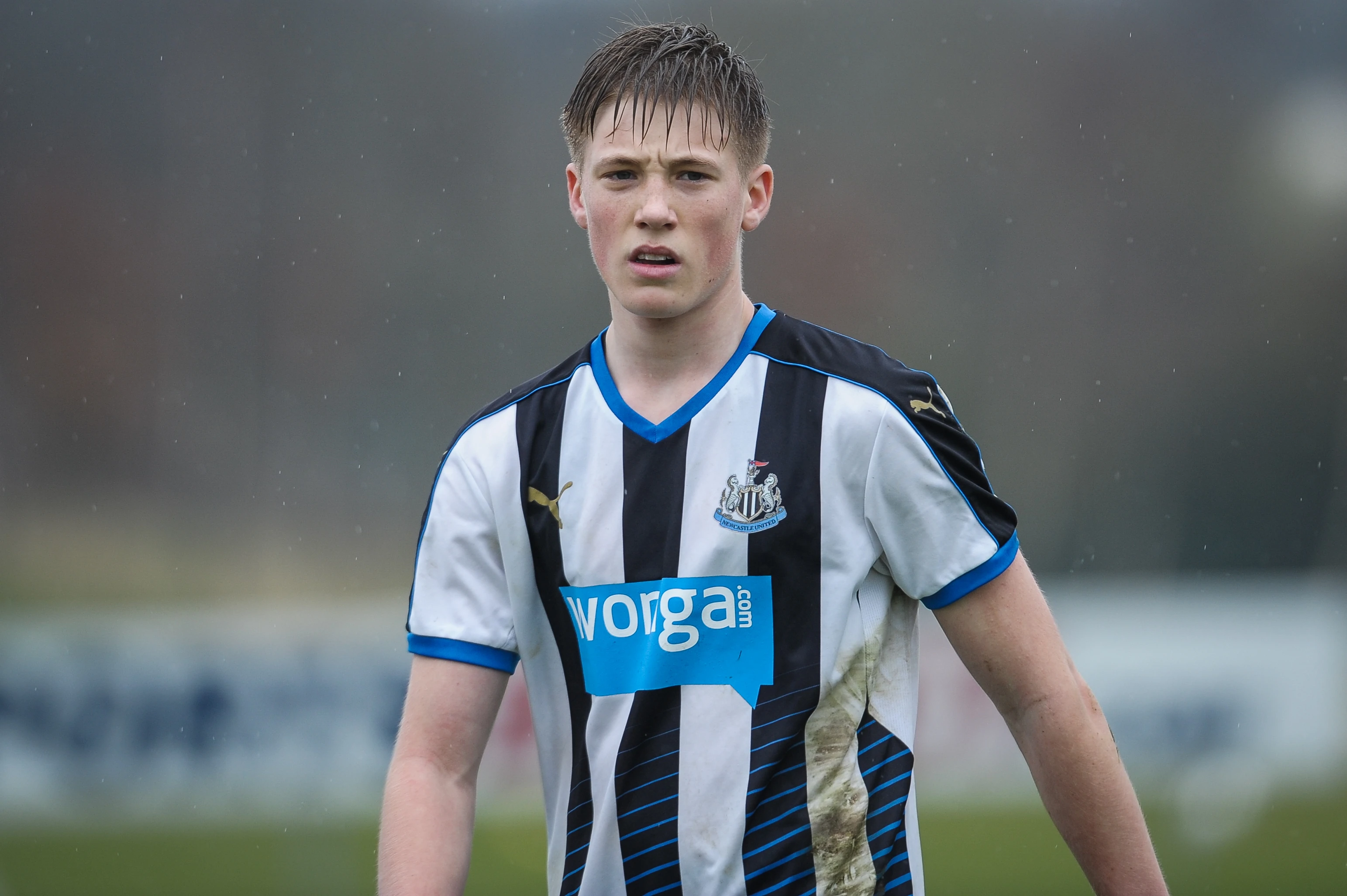 20161020-lewis-gibson