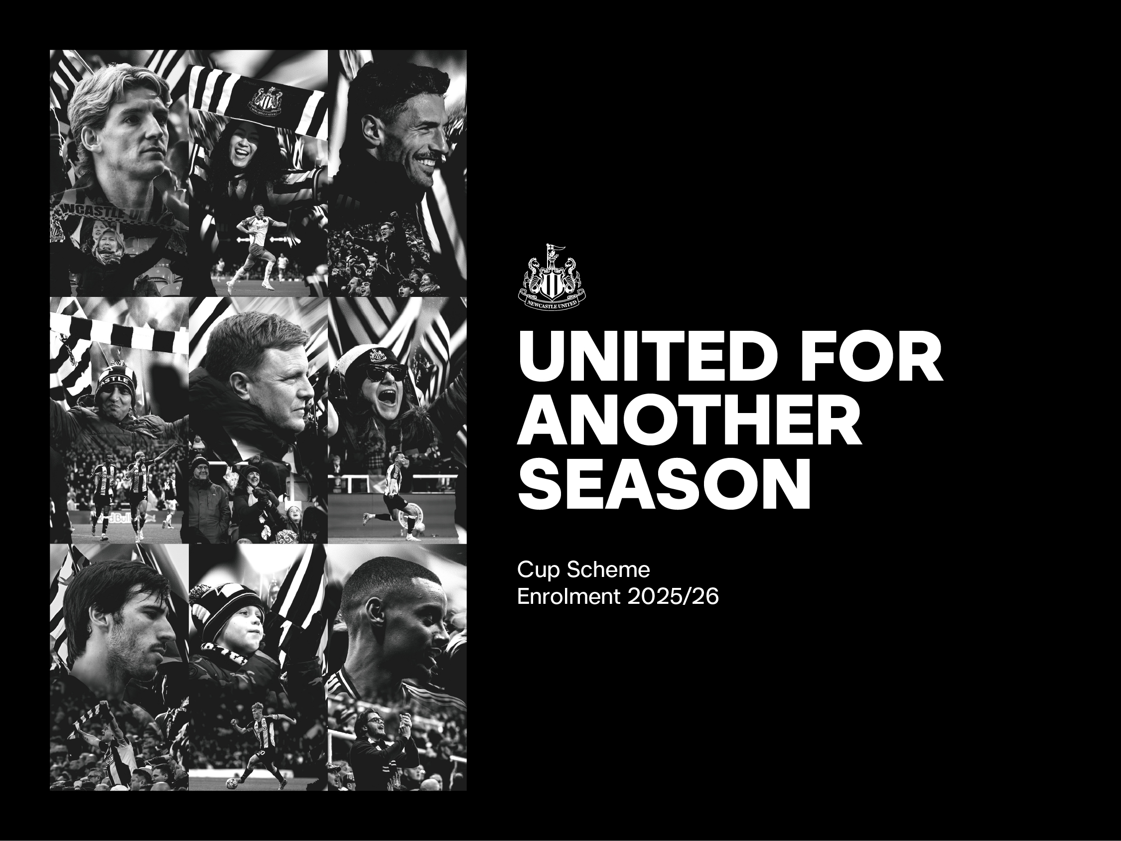 Cup schemes 25/26 header image