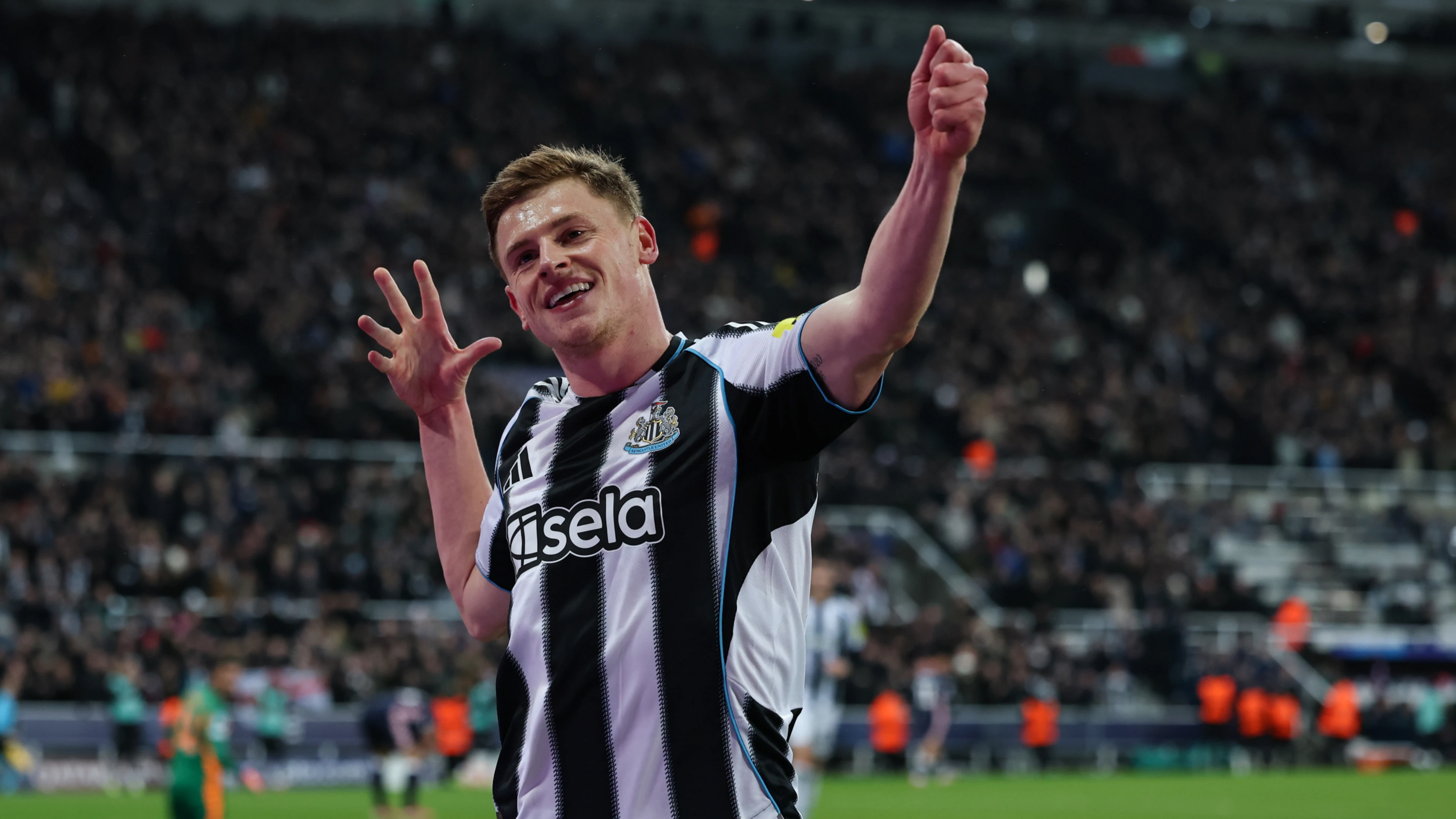 MM1 2558-2951987 Image