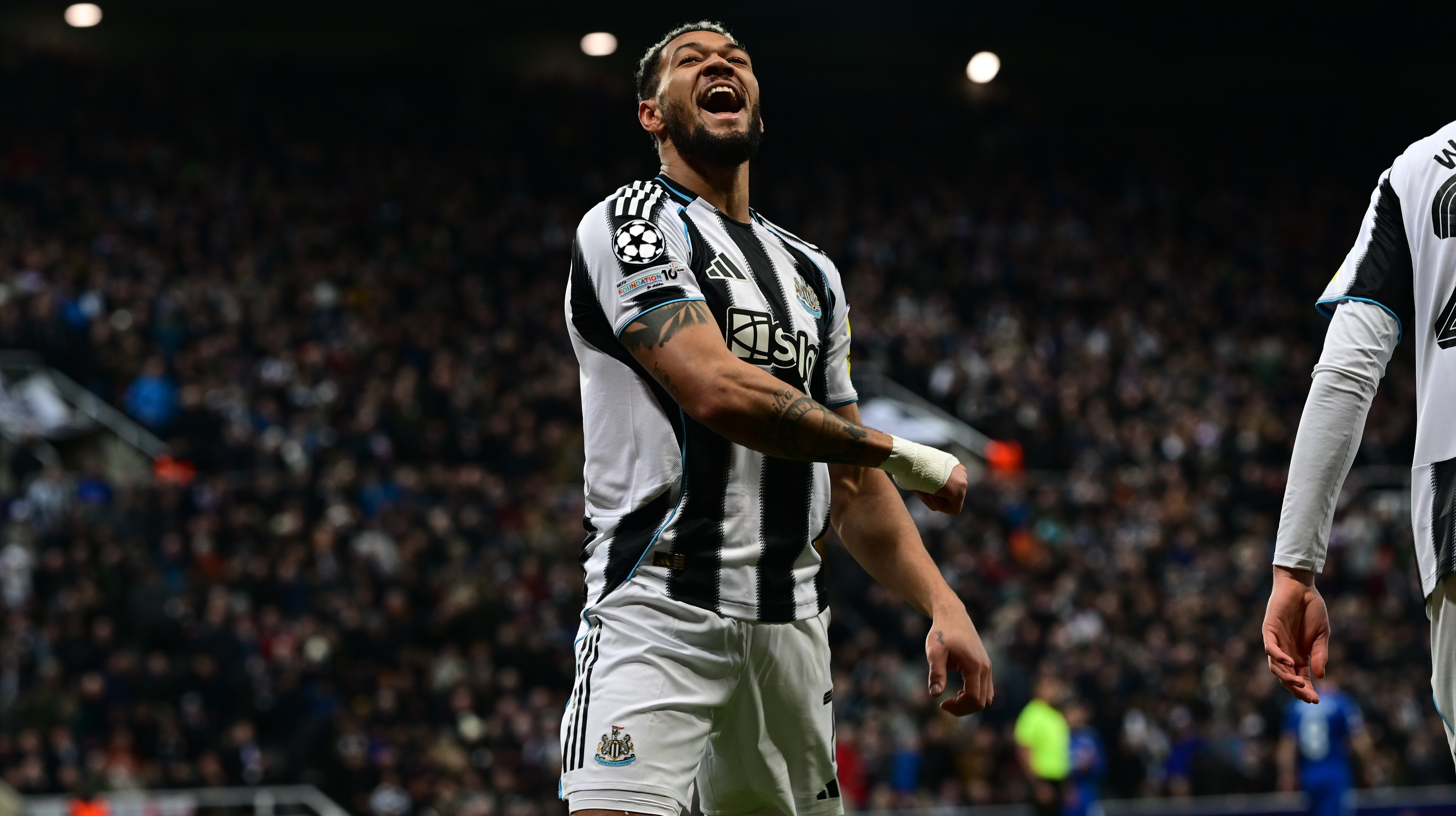 NUFCQar header