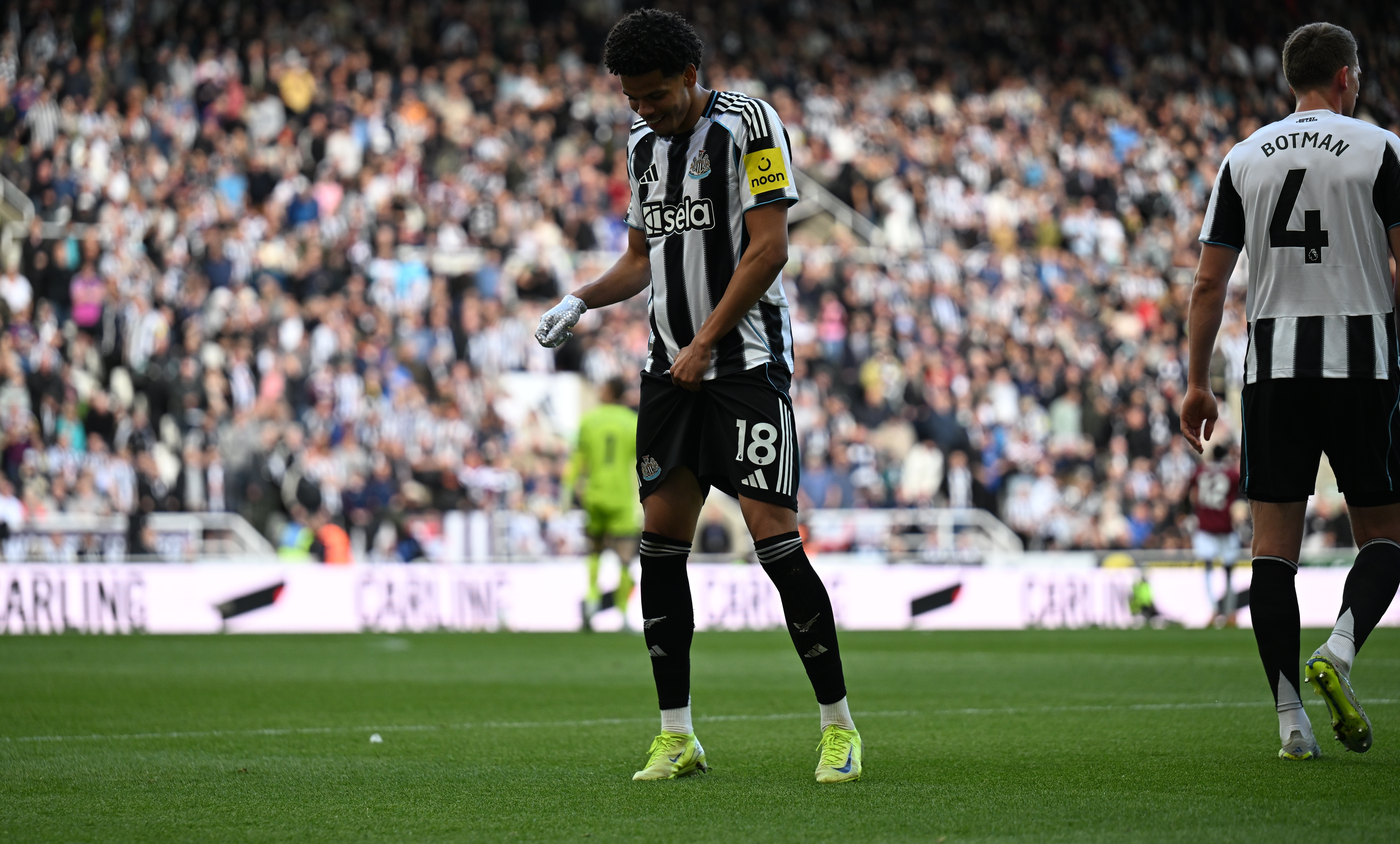 Osula header     