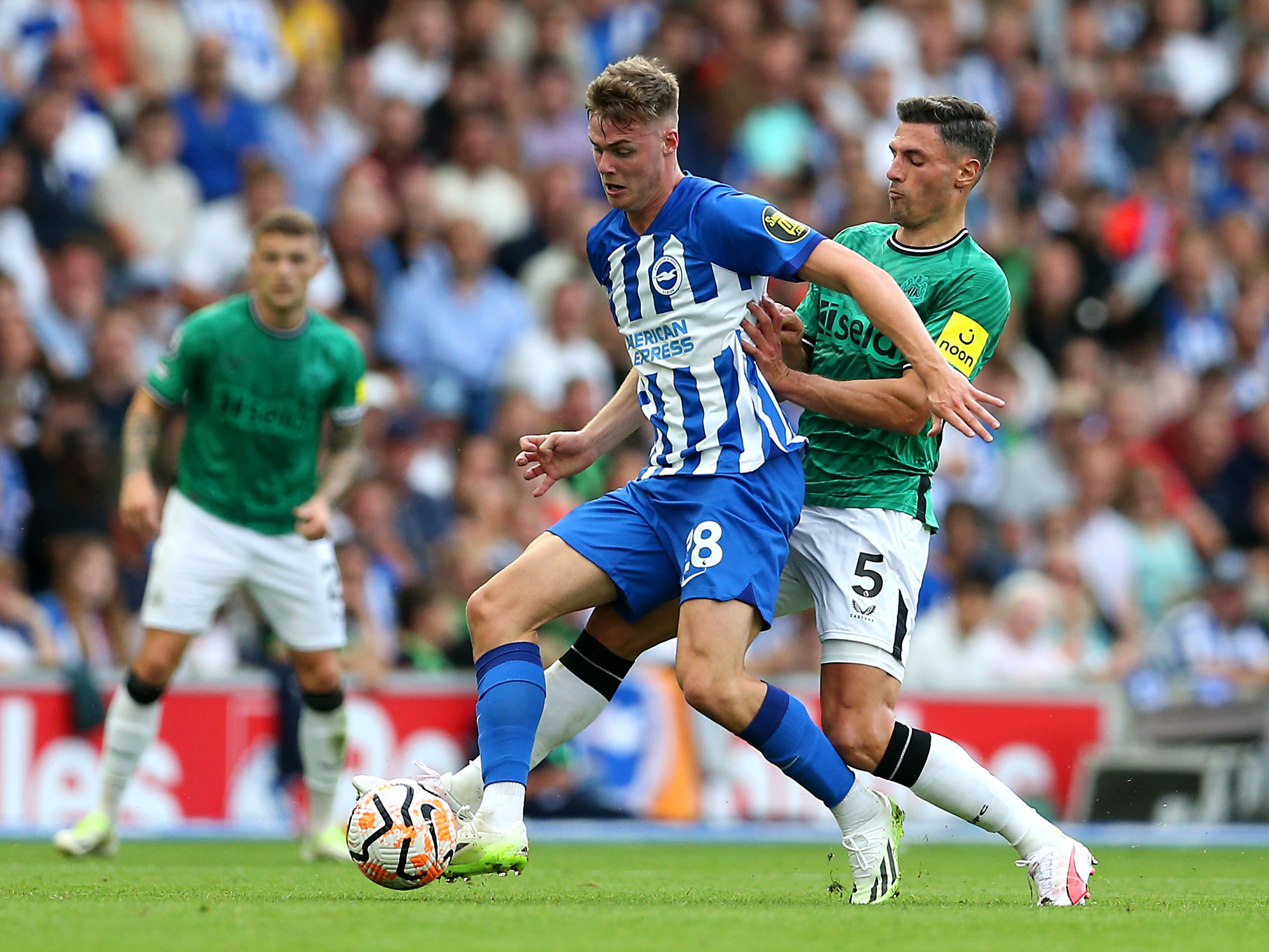 Brighton v Newcastle 2023/24 image