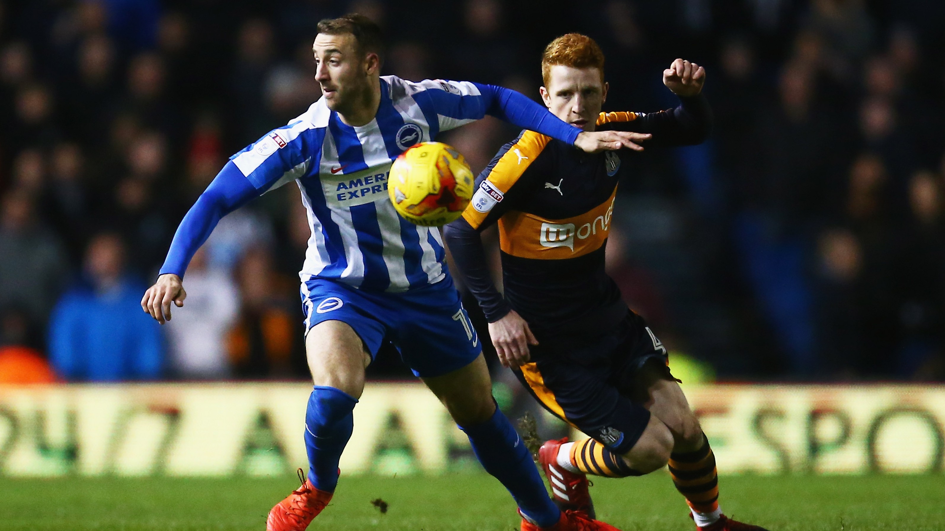 jack-colback-brighton
