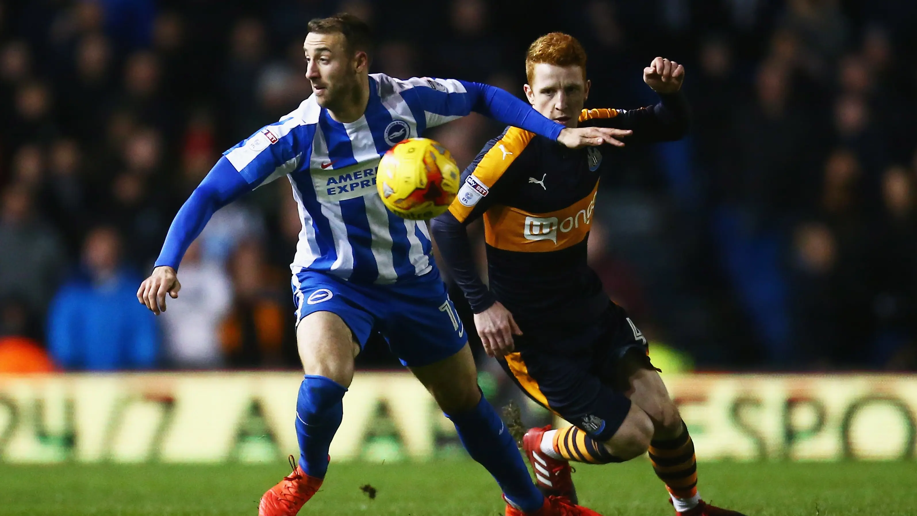 jack-colback-brighton