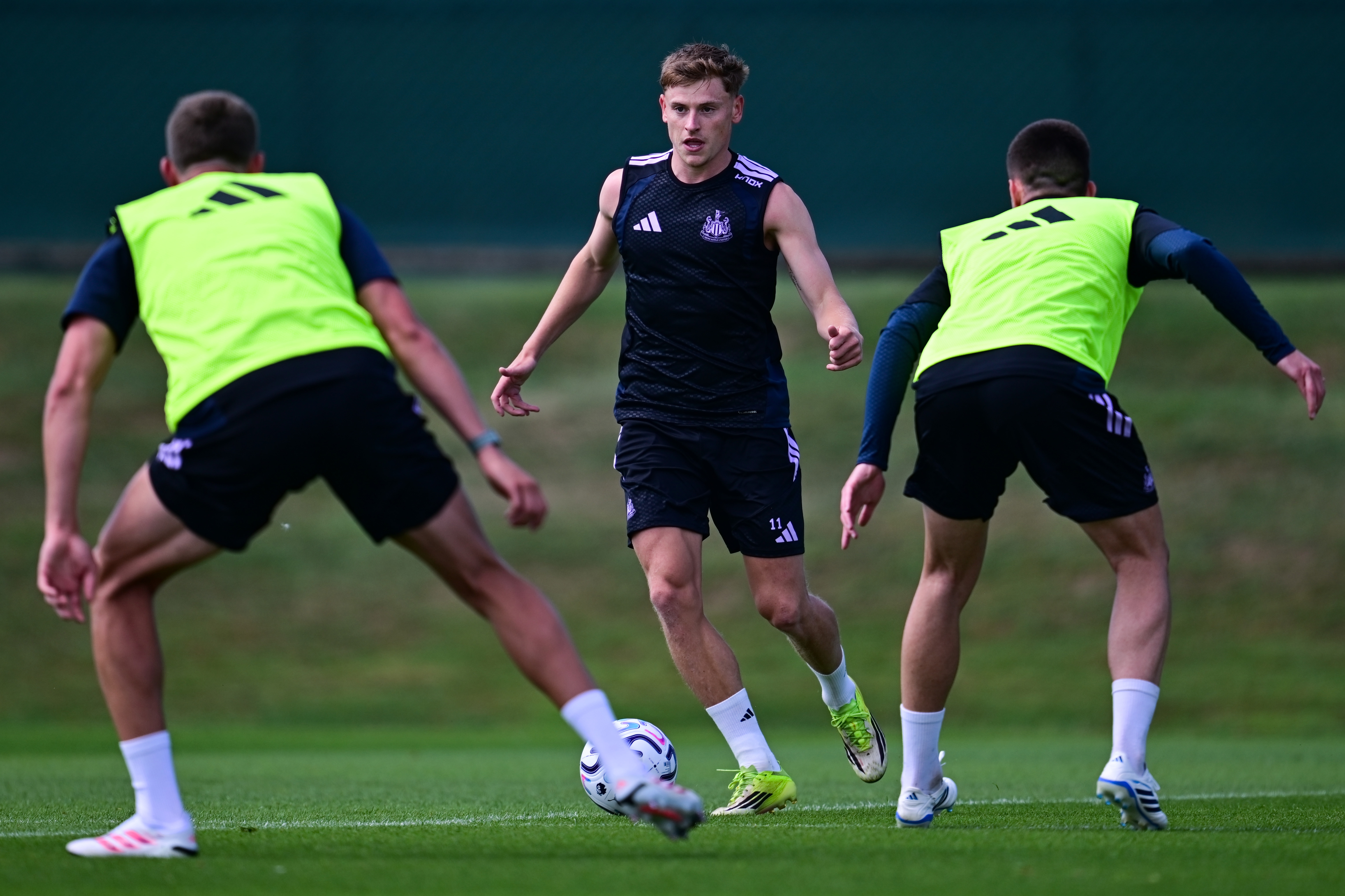Barnes training