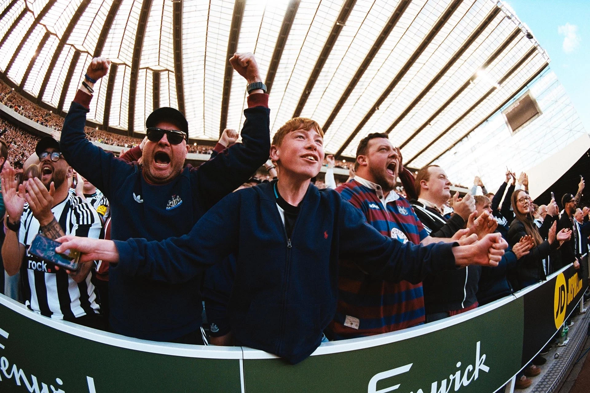 Fans in Stadium