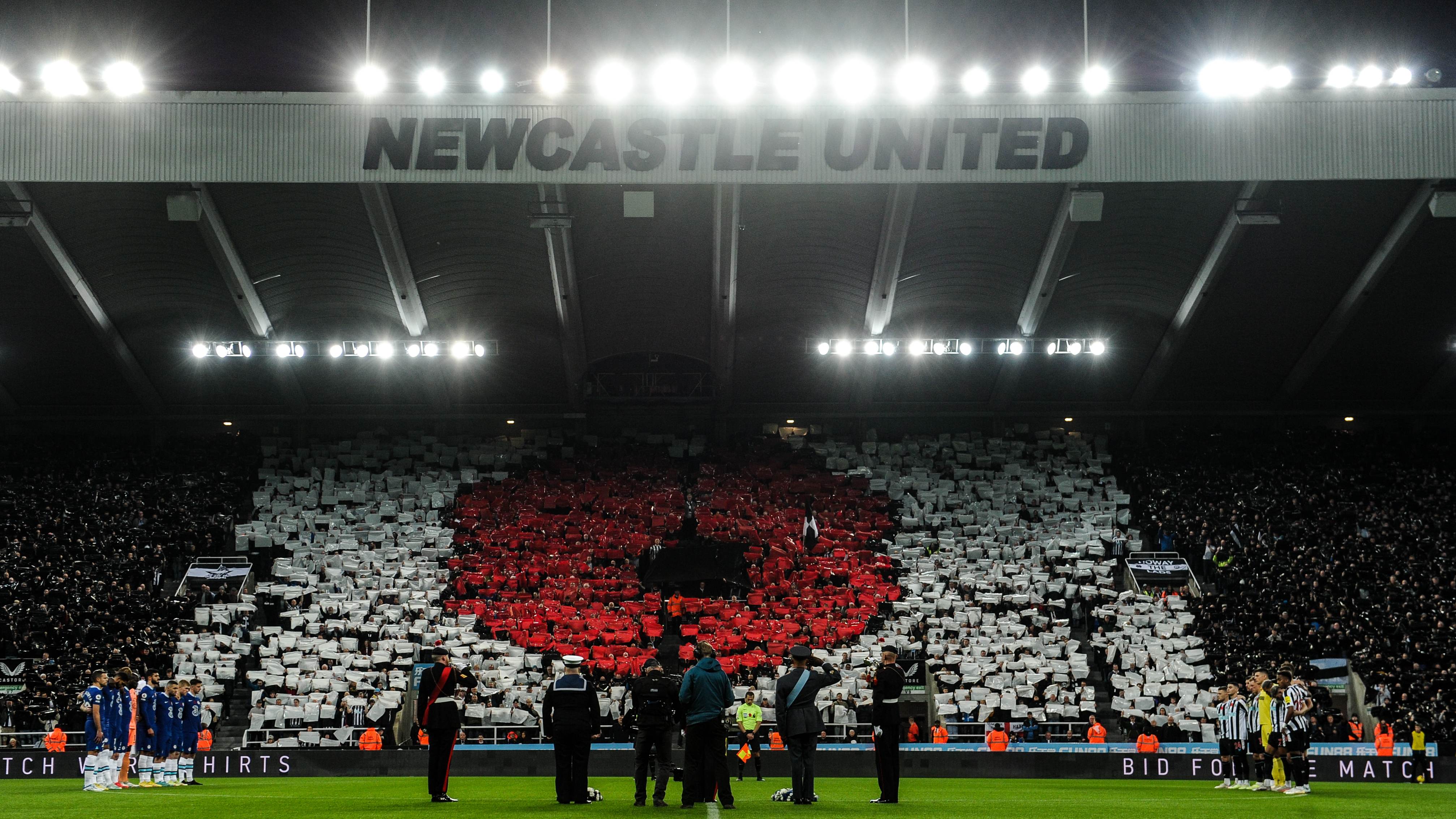 poppy-display-chelsea