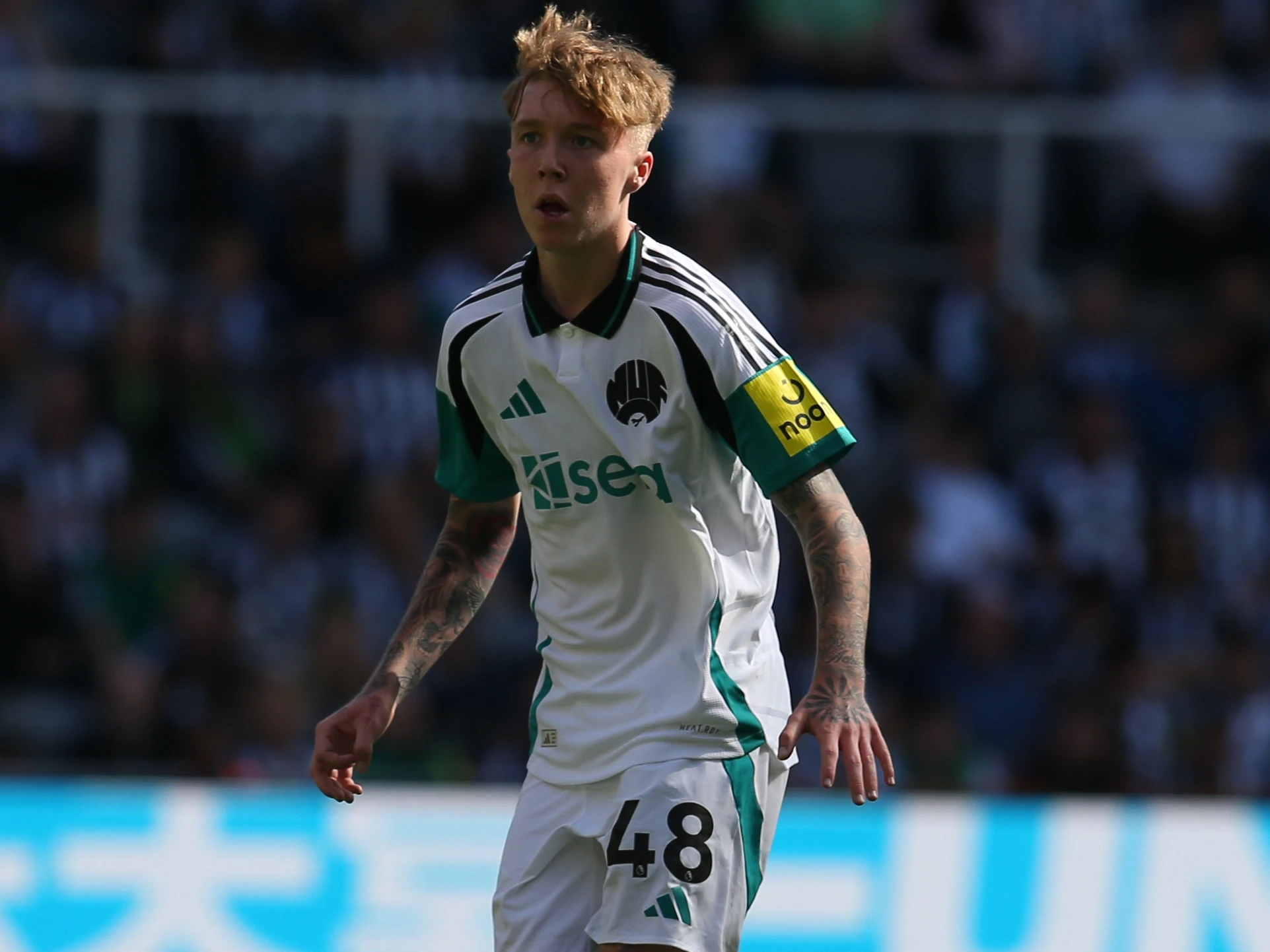 Alfie Harrison header image