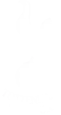 Club Crest - Tottenham Hotspur ( Inverted )