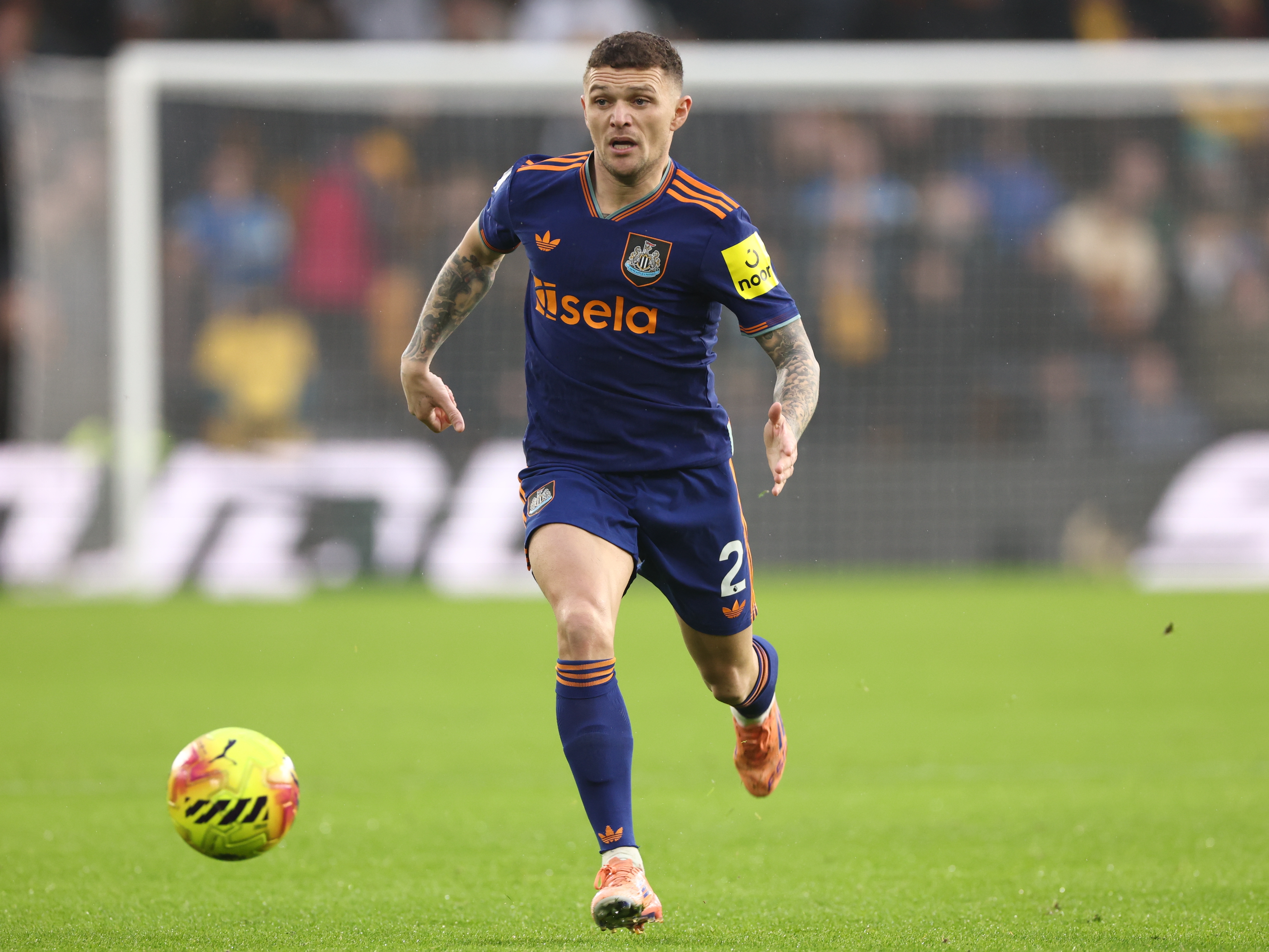 Wolves A report 25-26 image