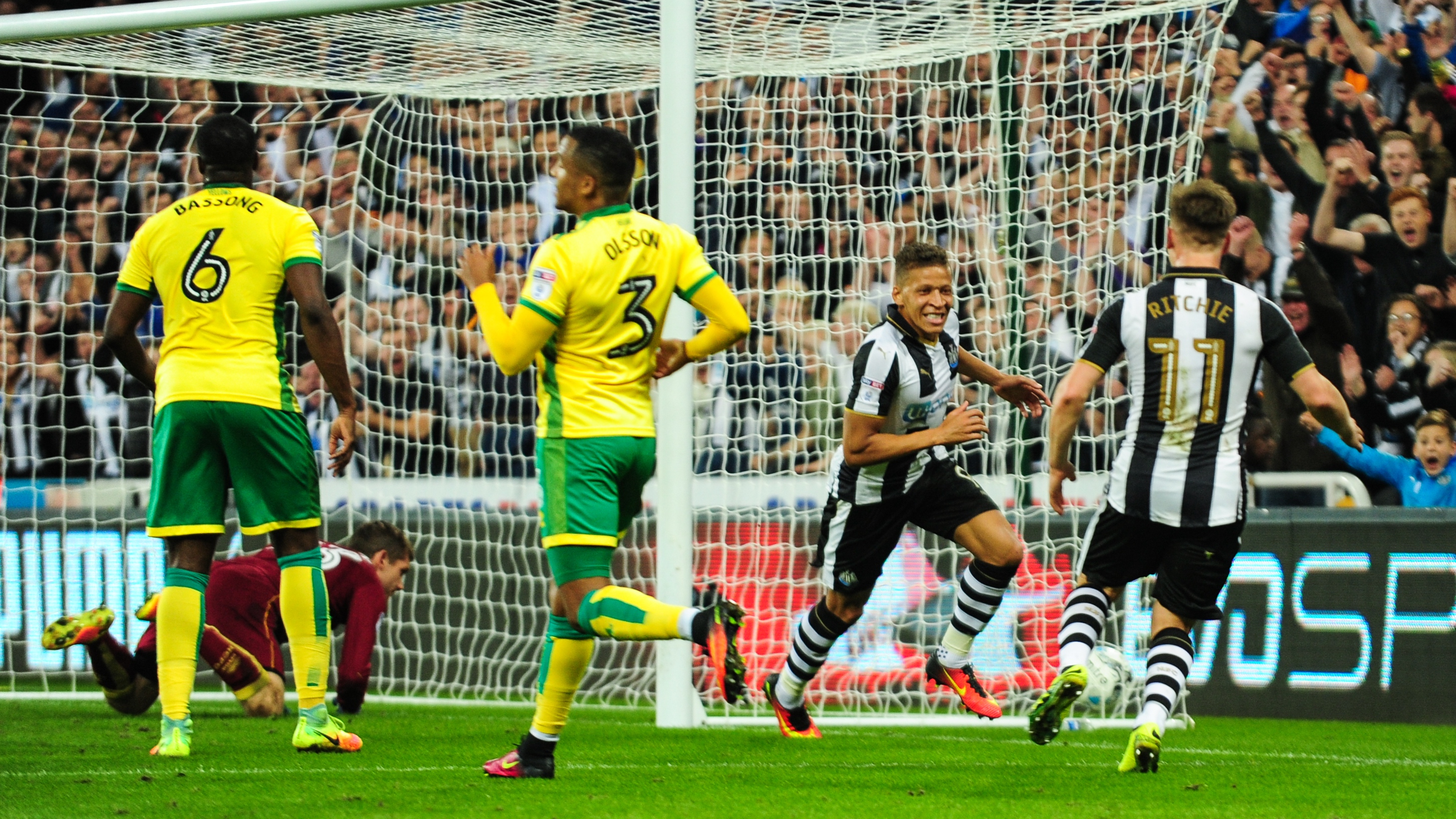 back-in-tyne-norwich-city