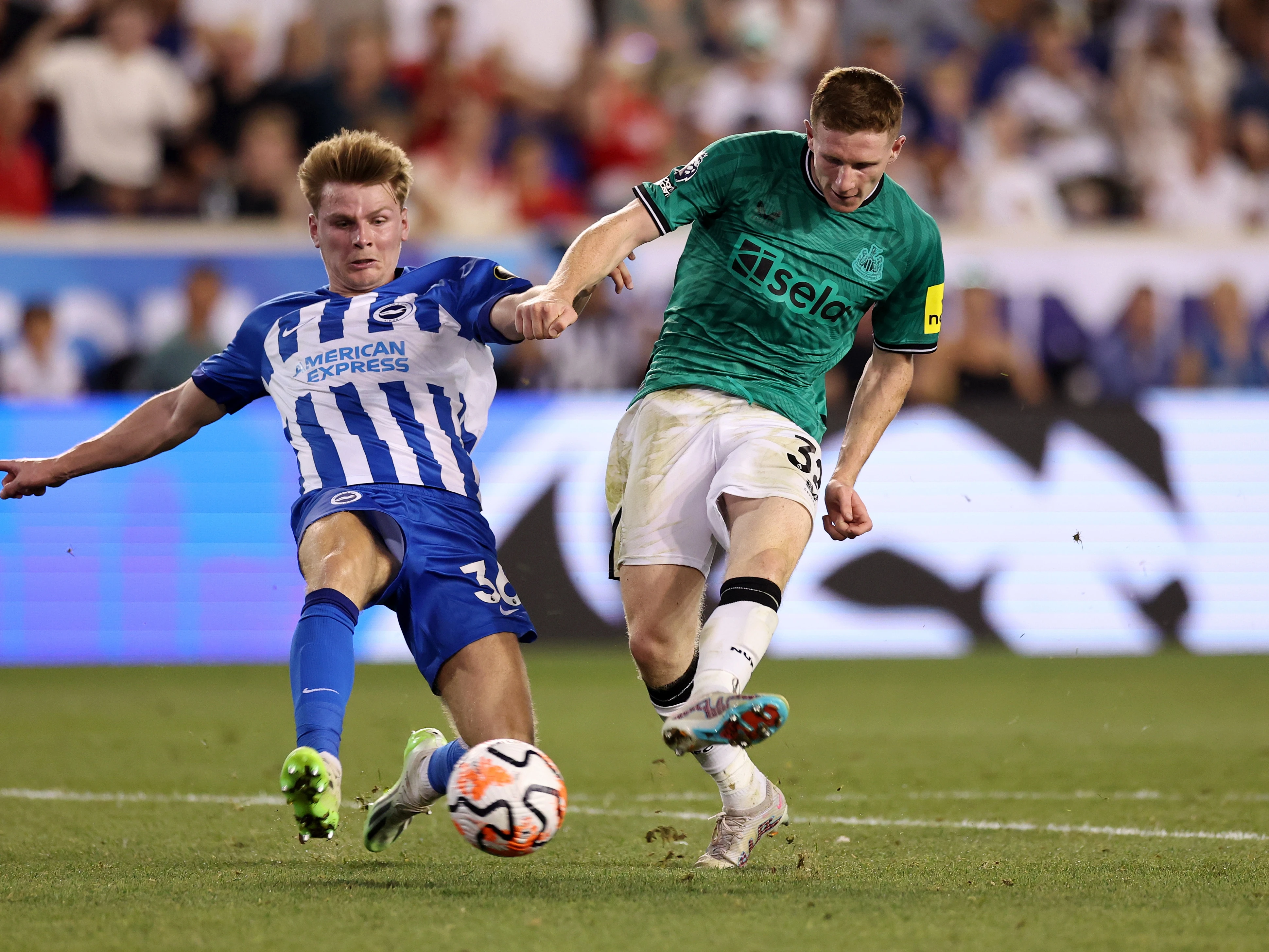 Brighton v Newcastle Summer Series image