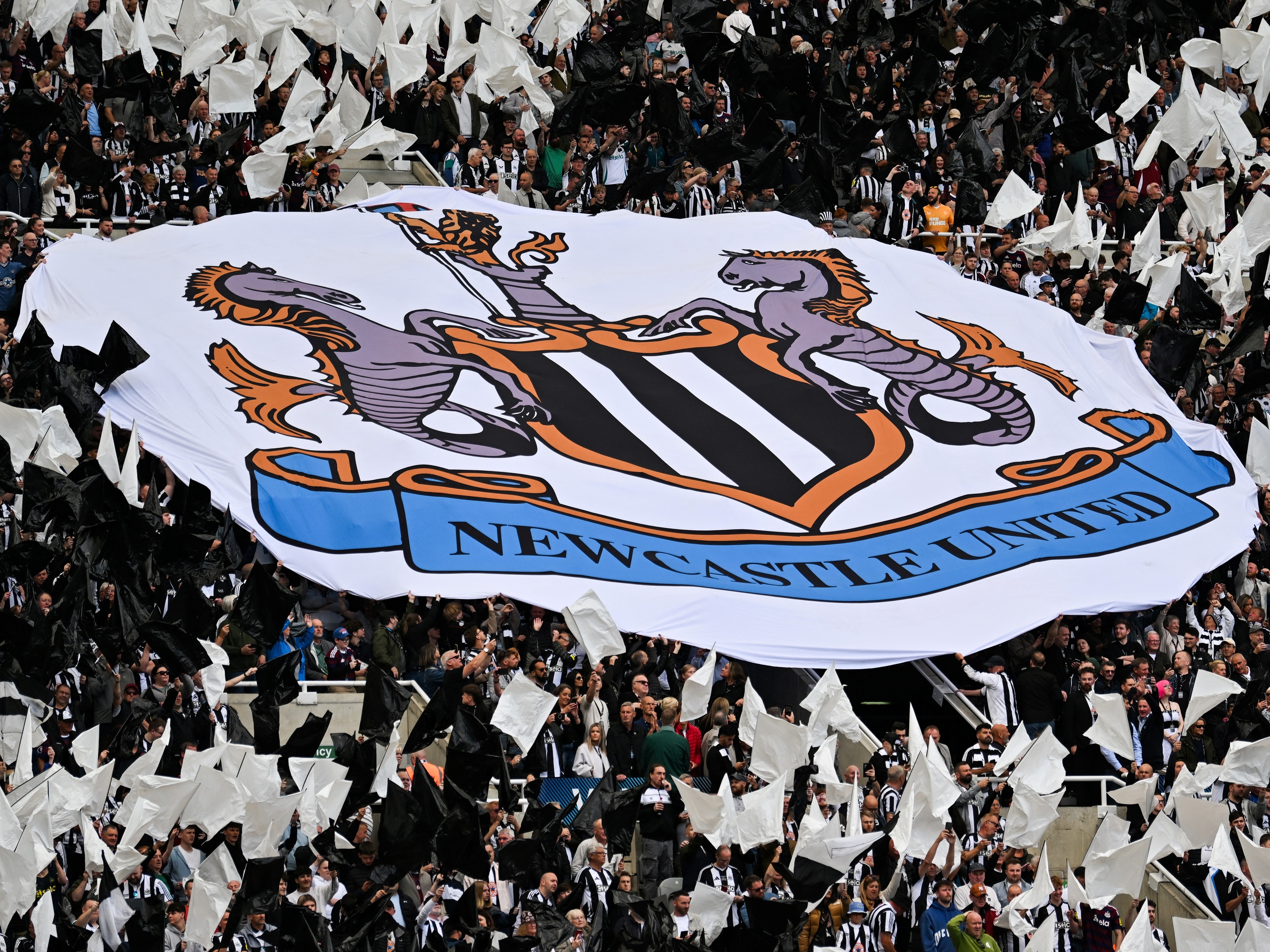 Fan Advisory Board May 05/25