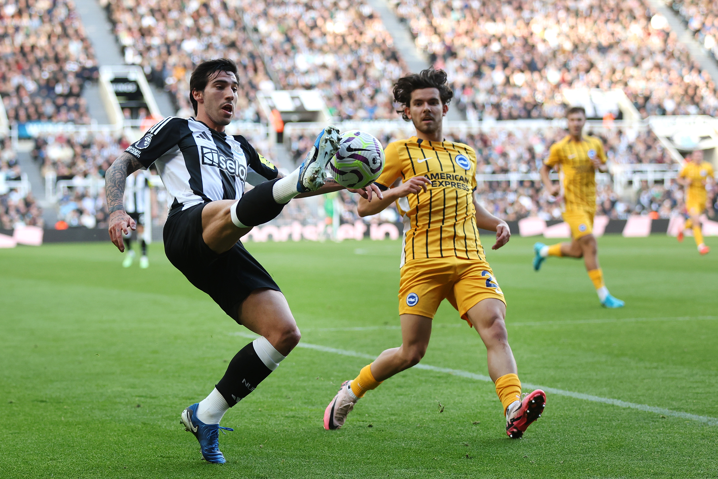 Brighton A quiz image