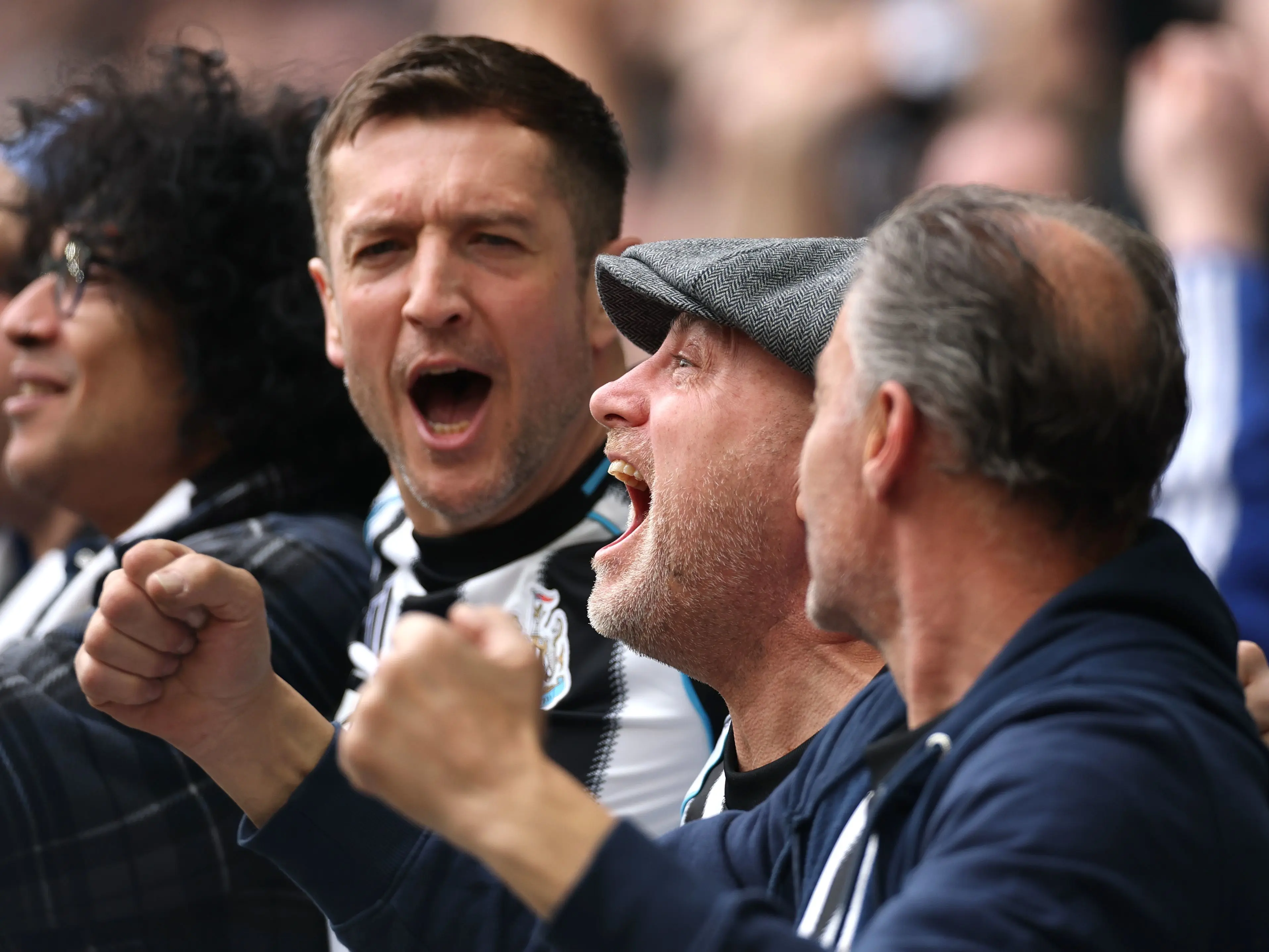 Fans celebrating image