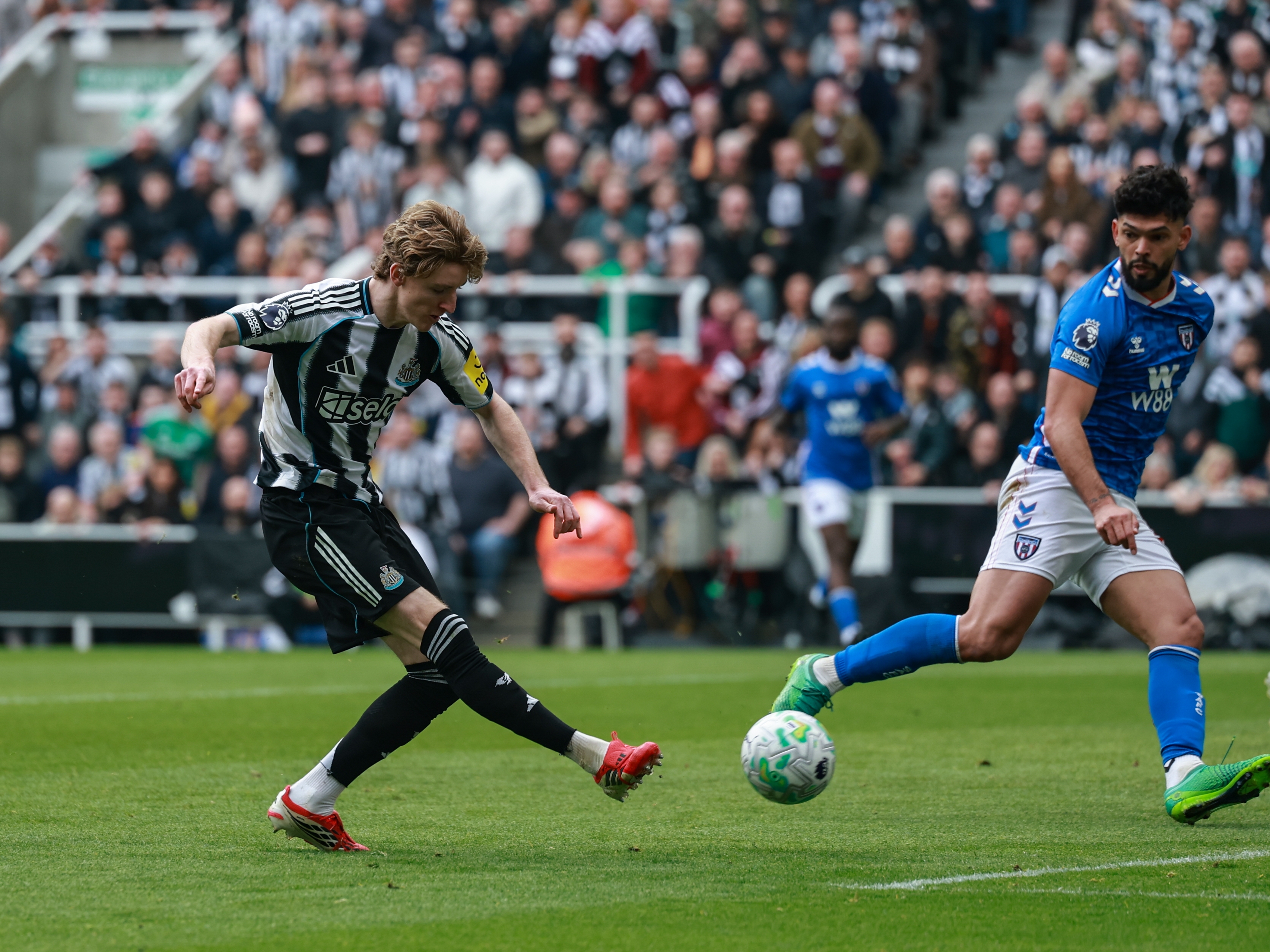 Anthony Gordon post-Sunderland