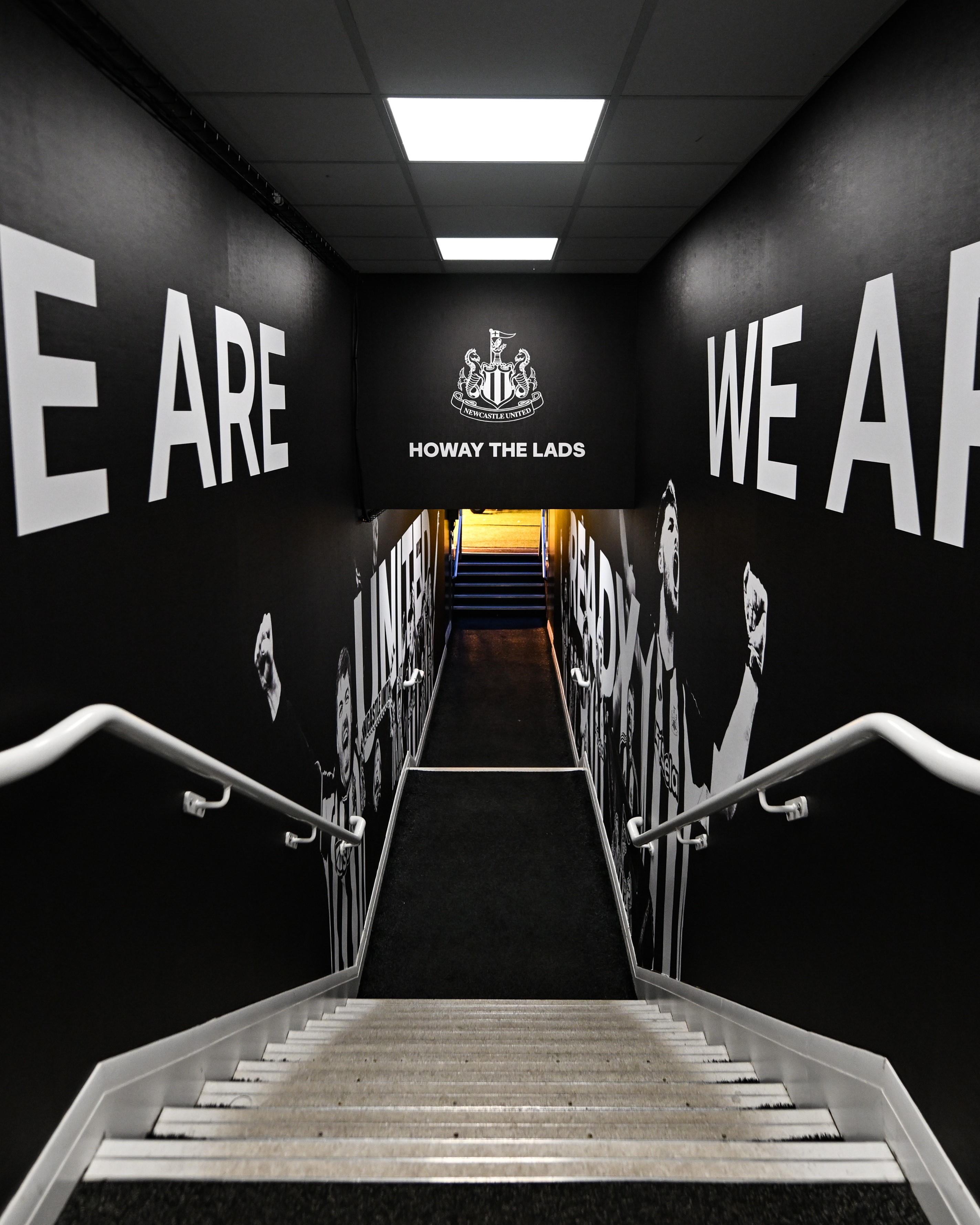 BSL promo card image