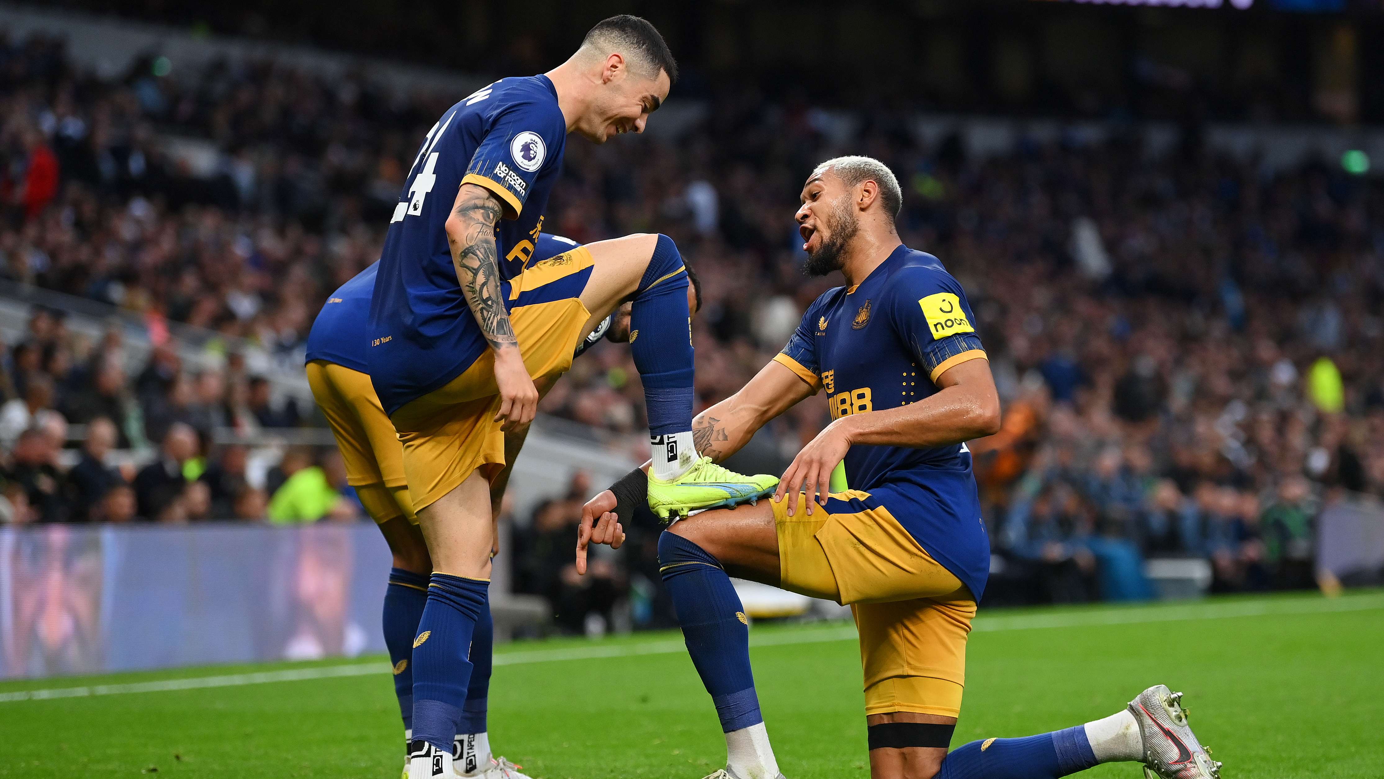 miguel-almiron-joelinton-celebrate-tottenham