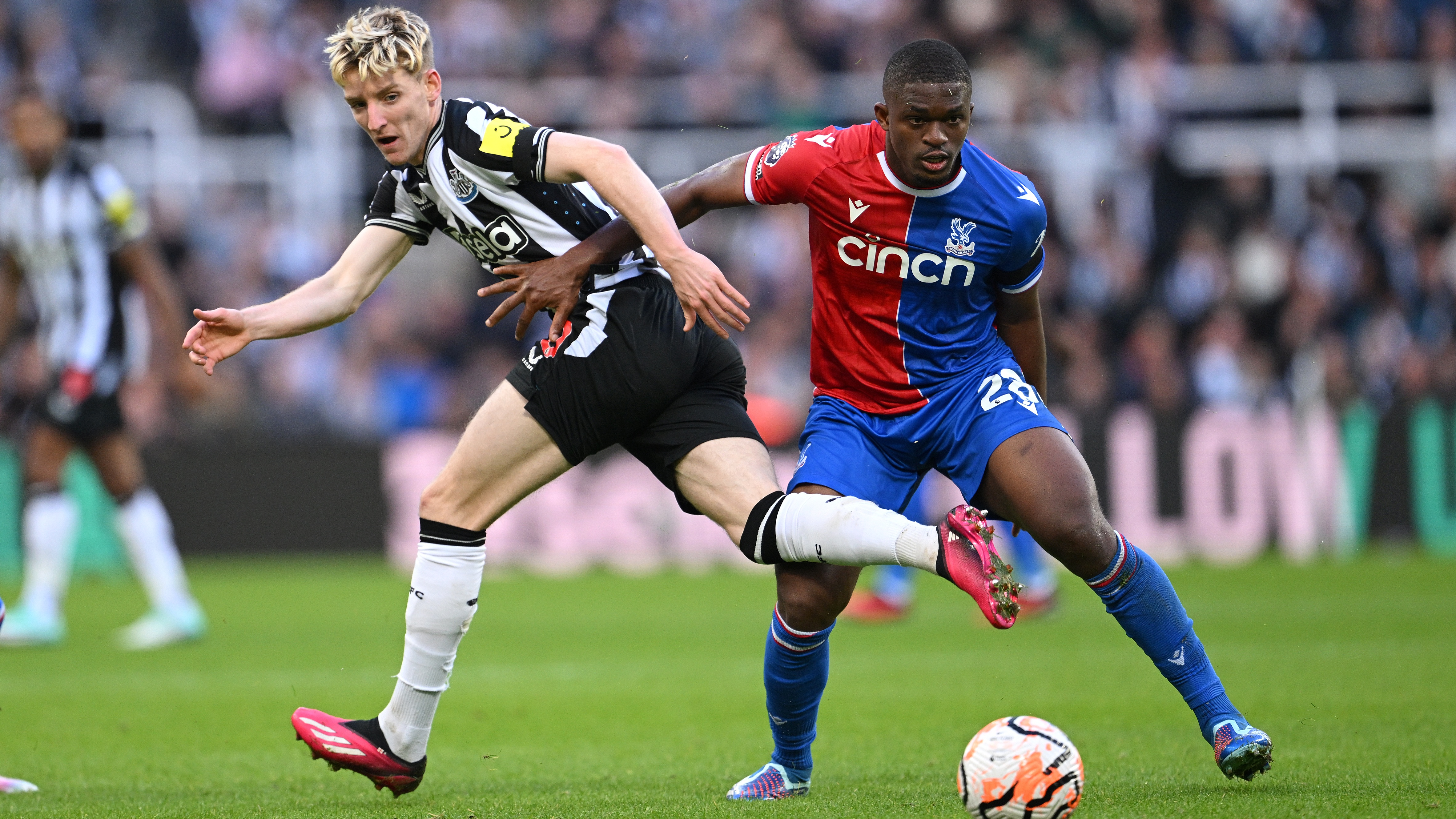 anthony-gordon-crystal-palace