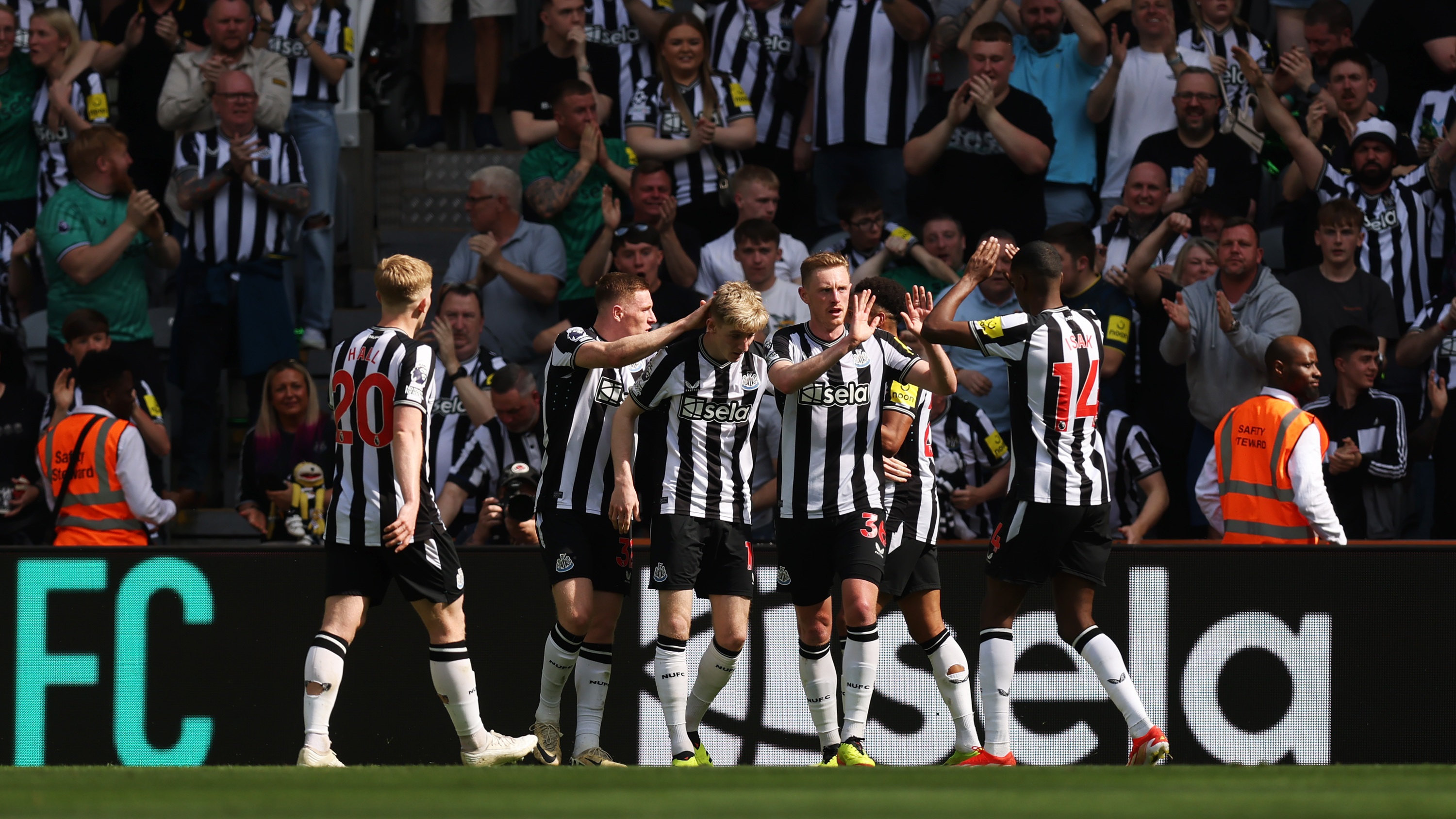 Sean Longstaff Brighton