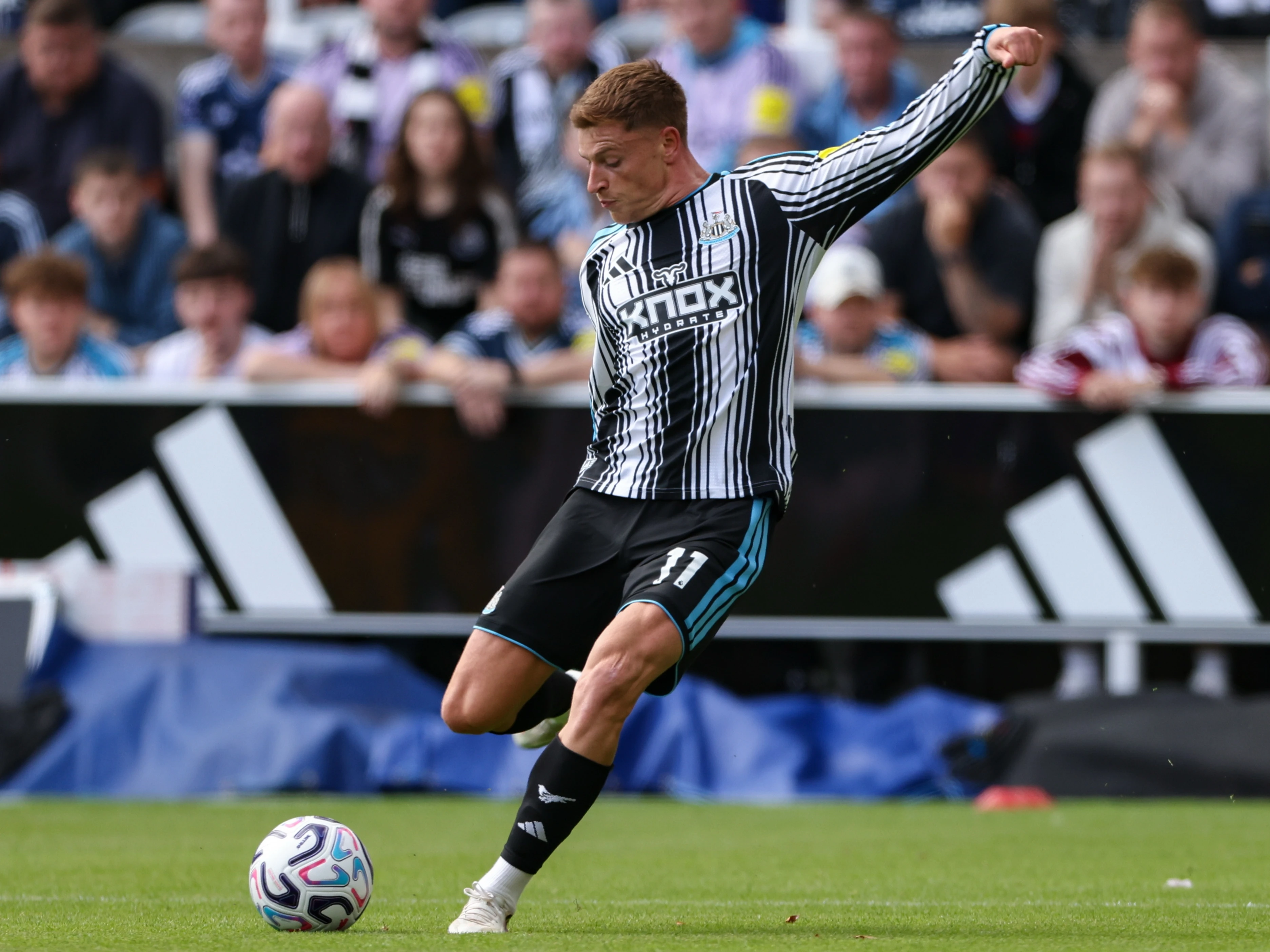 Harvey Barnes PL GOTM (Sep 26')