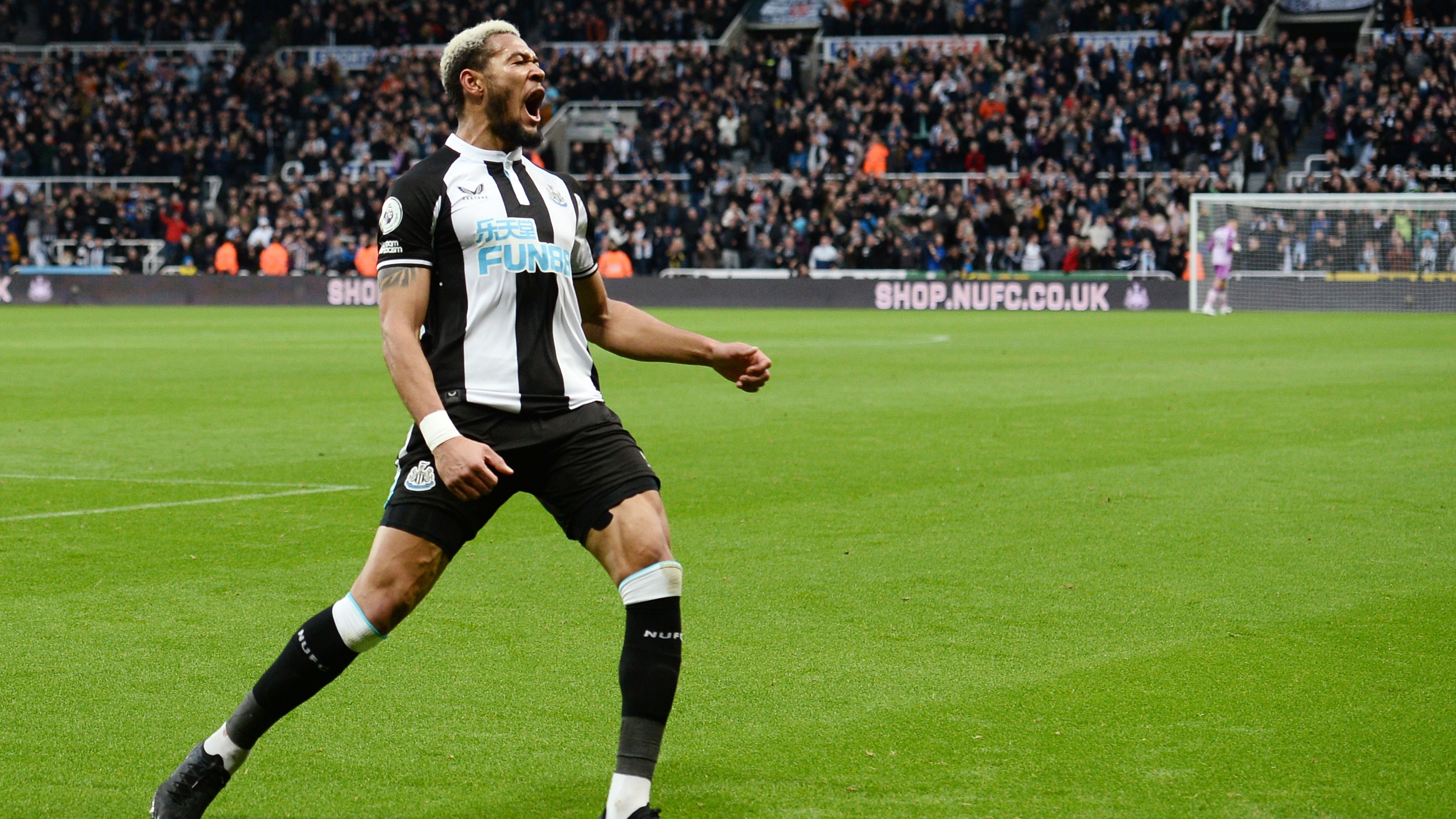 joelinton-celebrates-brentford