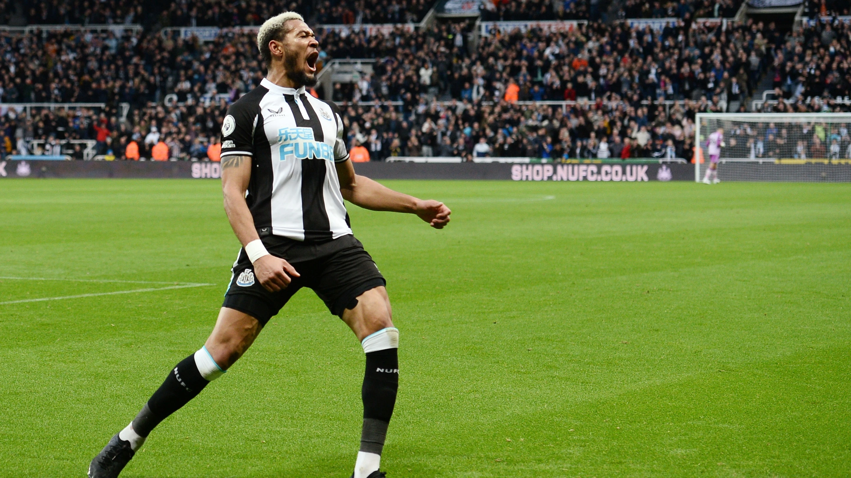 joelinton-celebrates-brentford