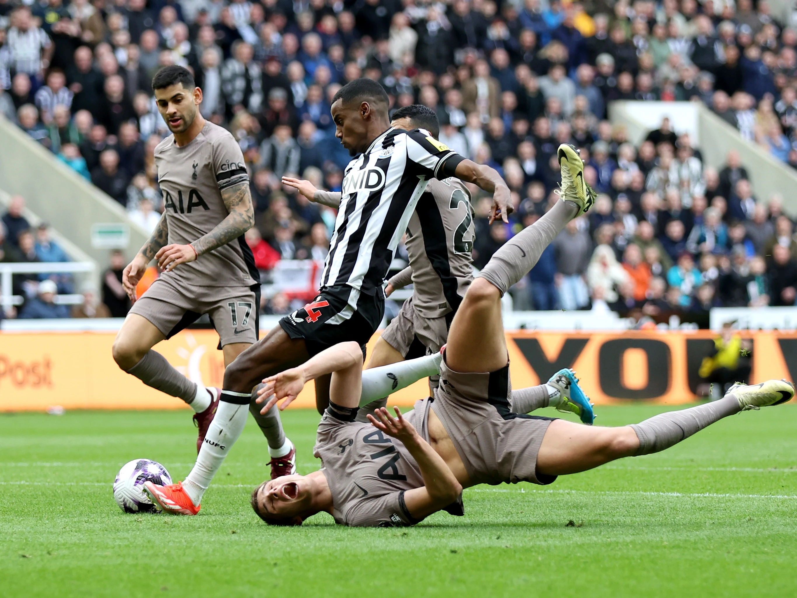 Newcastle v Spurs 23/24 image