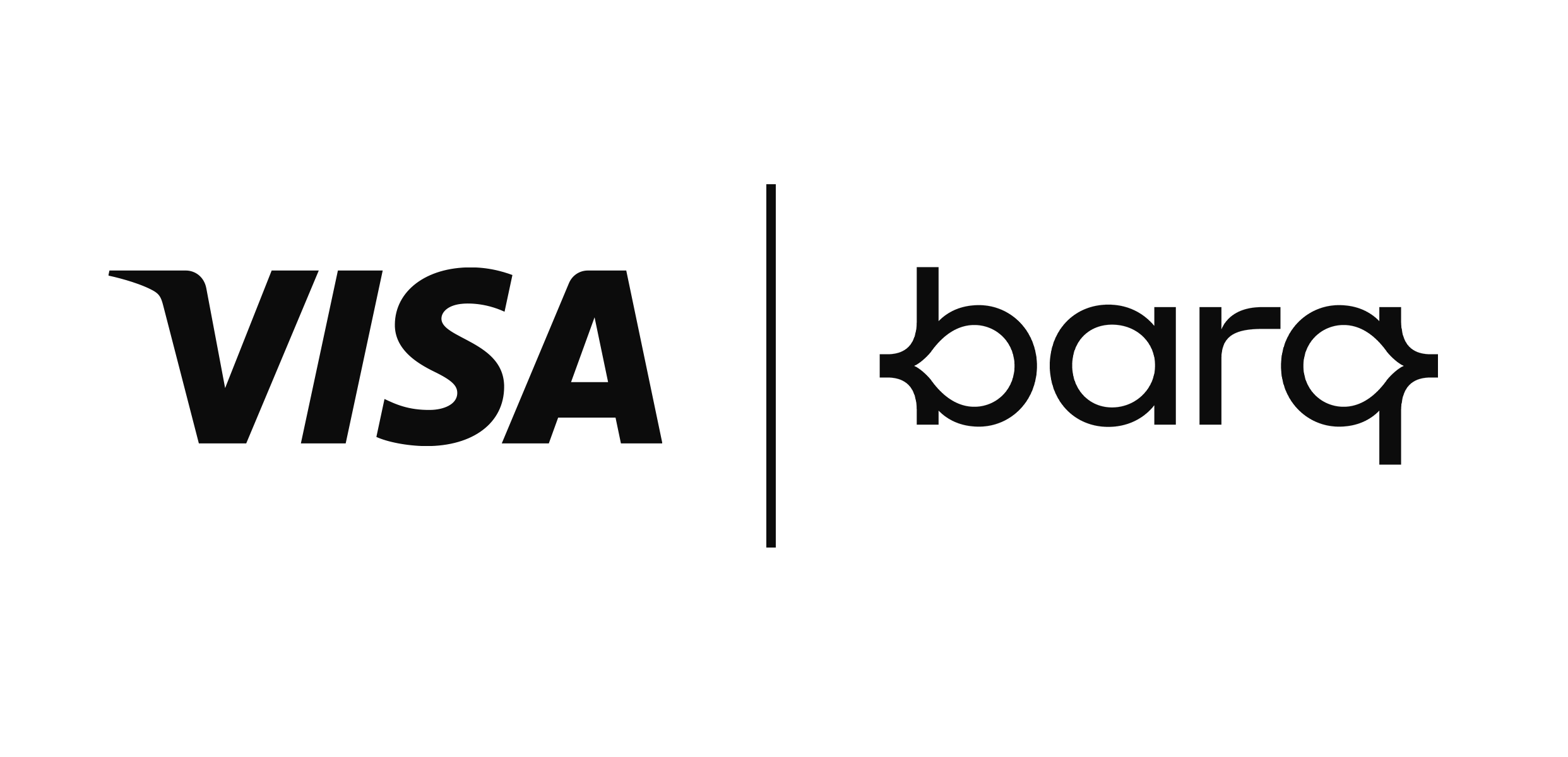 Partner Logo - VISA BARQ