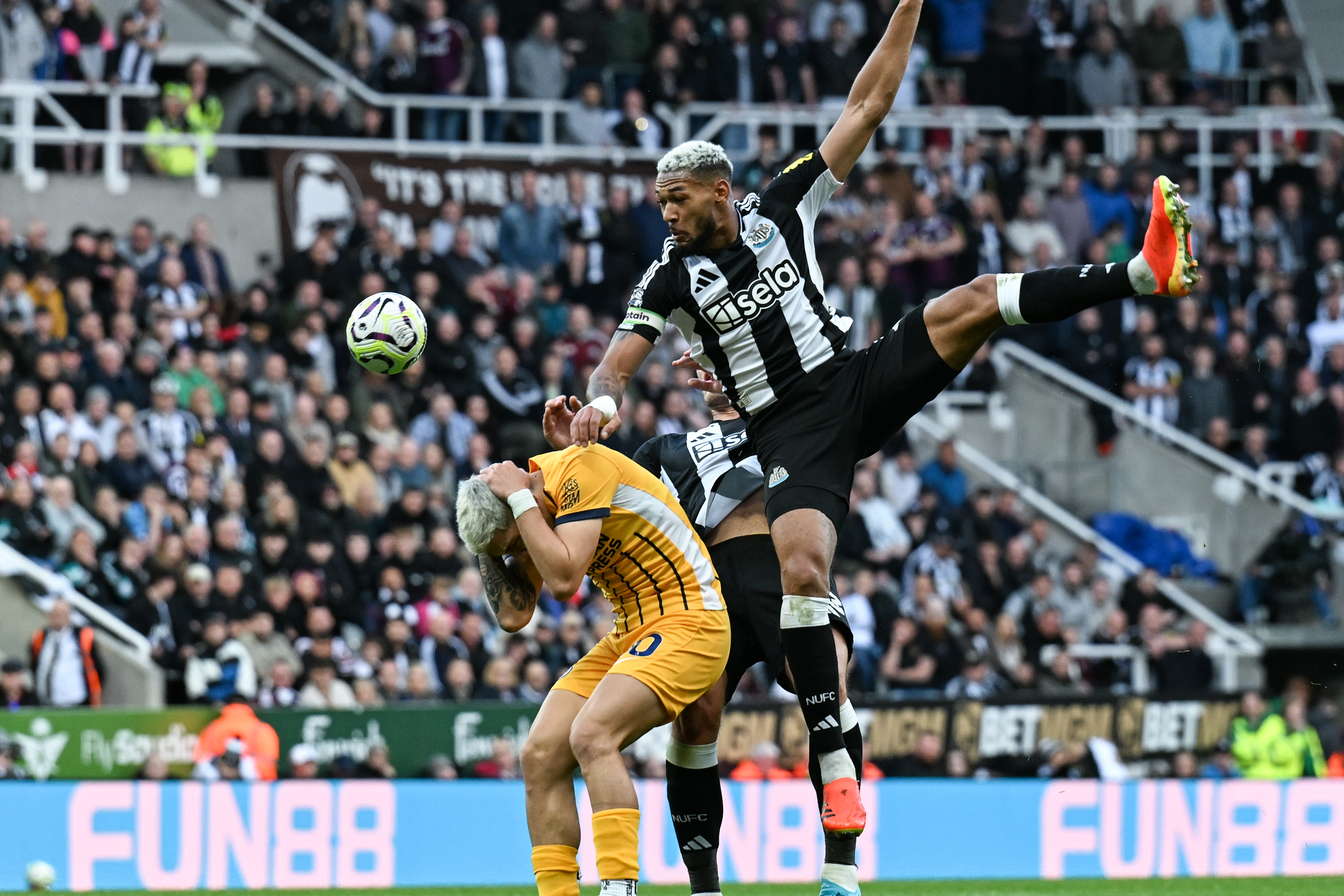 Best stats ahead of Brighton A (image)