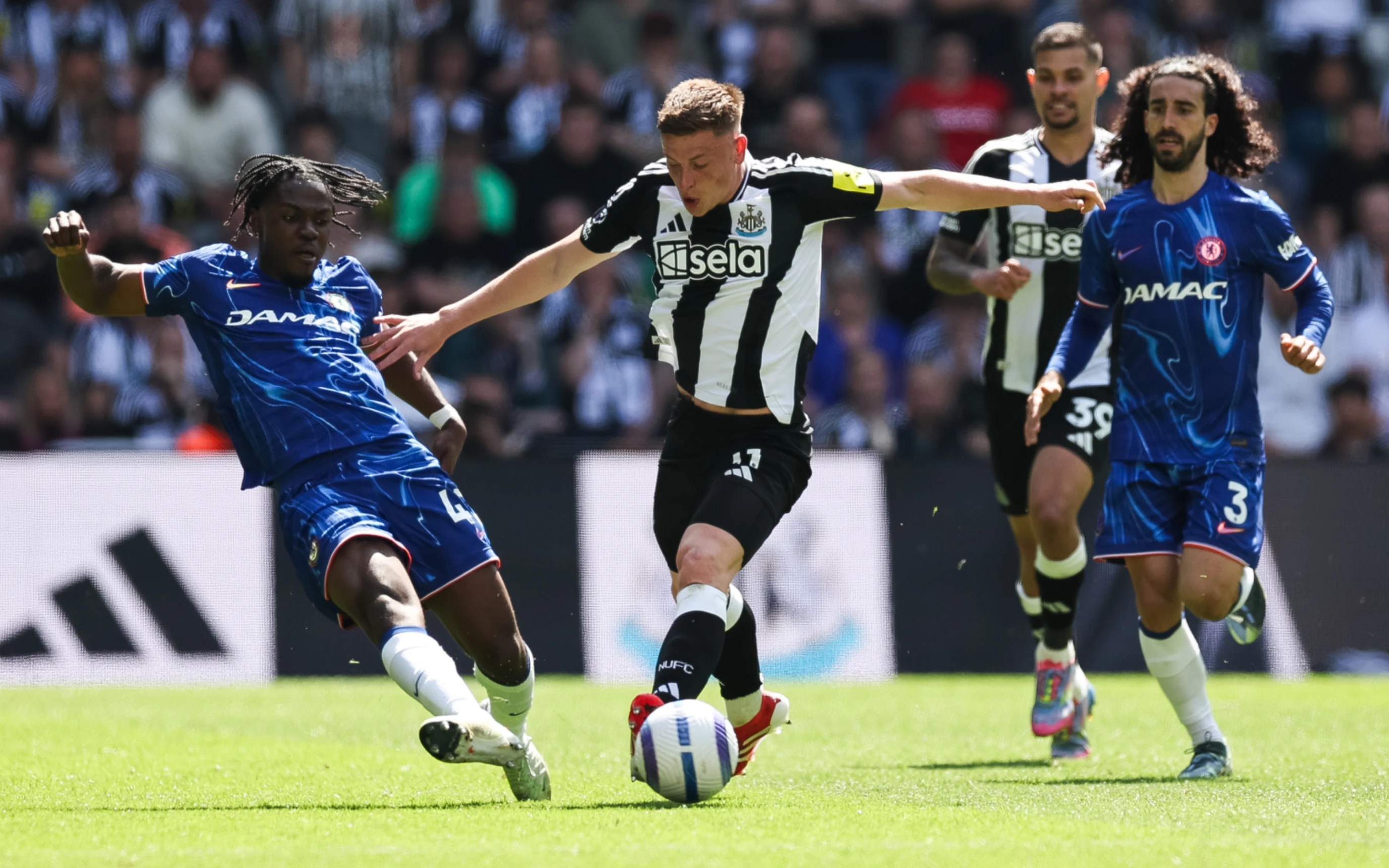 barnes Chelsea image