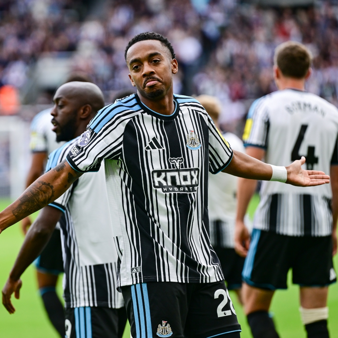 Joe Willock Hull