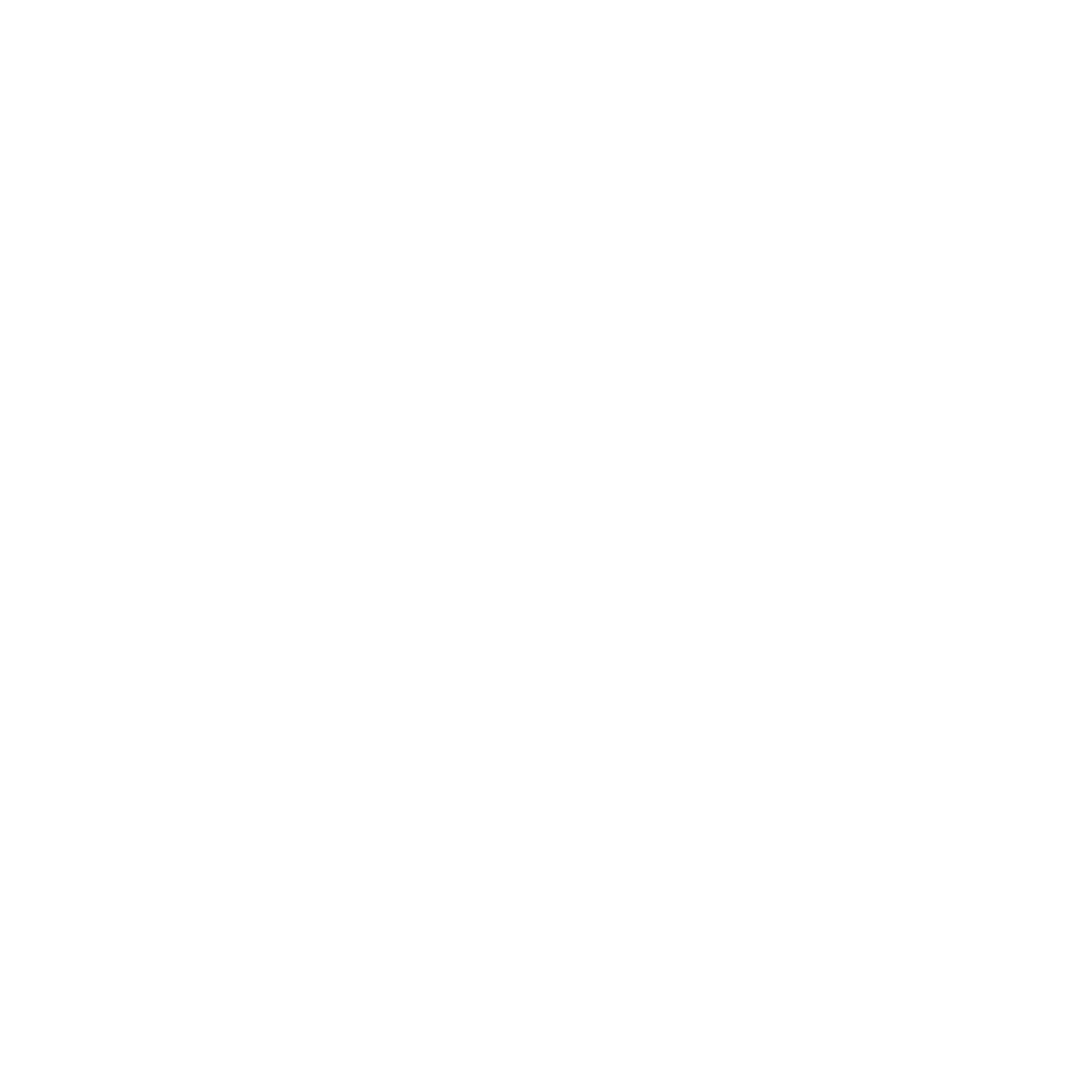 TAG HEUER PORSCHE FORMULA E TEAM Logo
