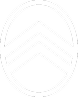 CITROËN RACING Logo