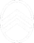 CITROËN RACING Logo