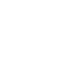 ANDRETTI FORMULA E Logo