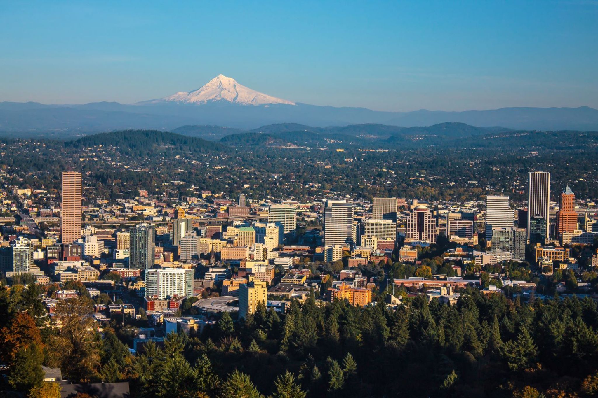 Southwire named title sponsor of first Formula E race in Portland