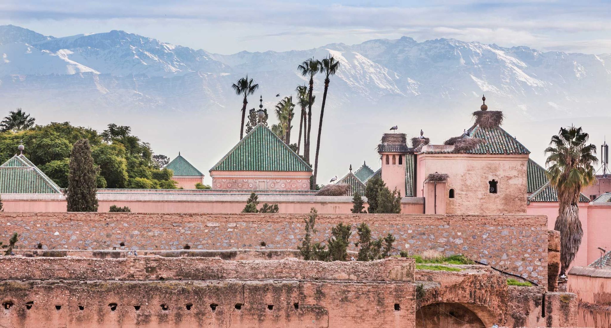 Formula E joins forces with COP22 for Marrakesh ePrix