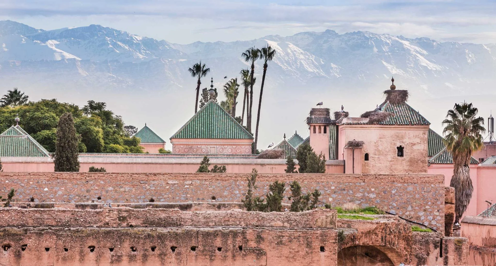 Formula E joins forces with COP22 for Marrakesh ePrix