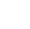 DS PENSKE Logo