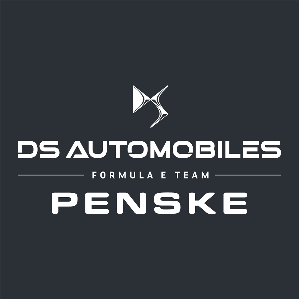 DS PENSKE Logo