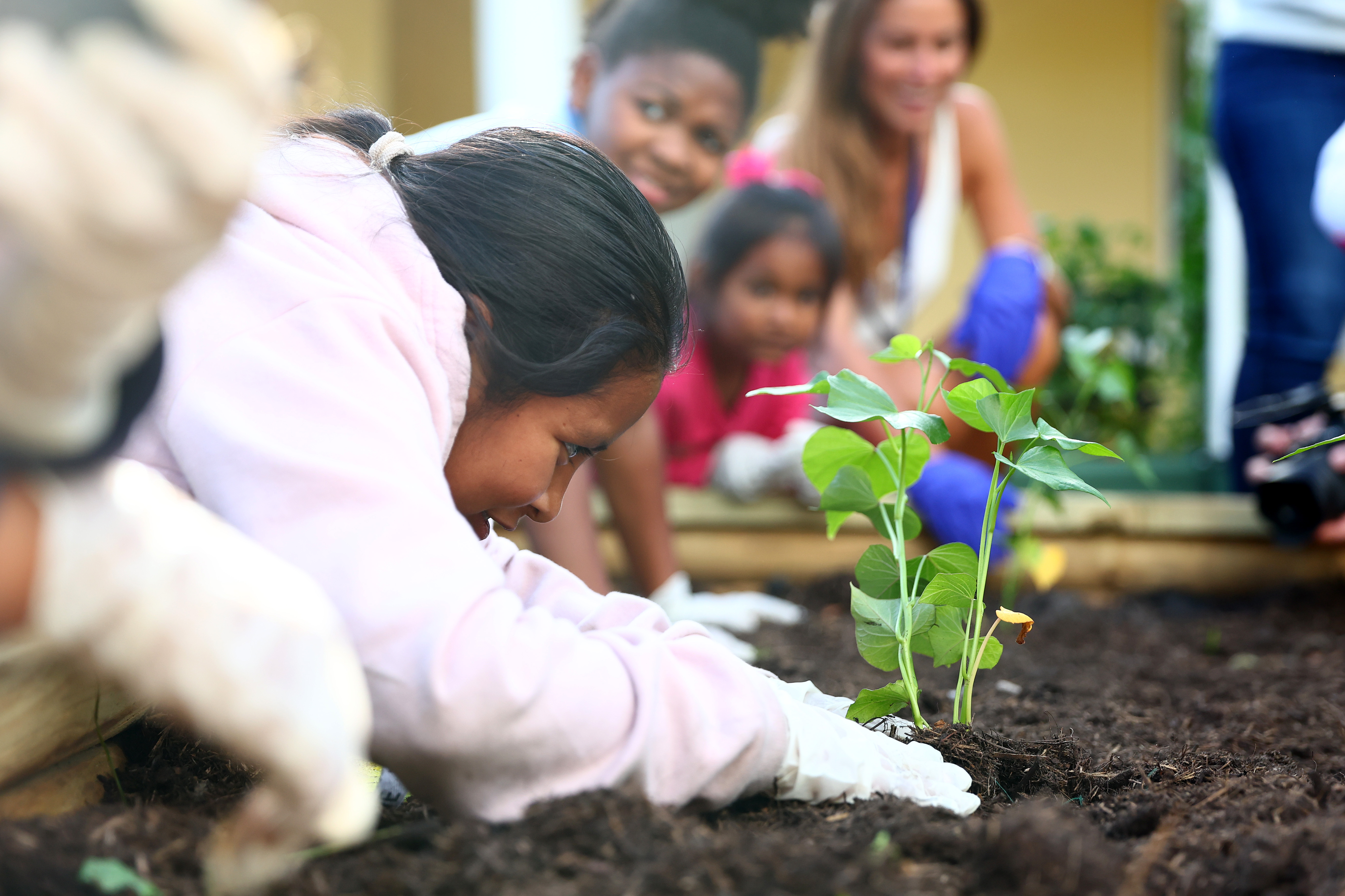 Sustainability Report Lead Asset