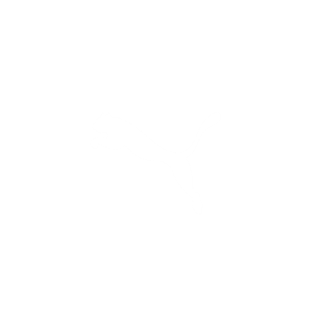 Puma White Logo